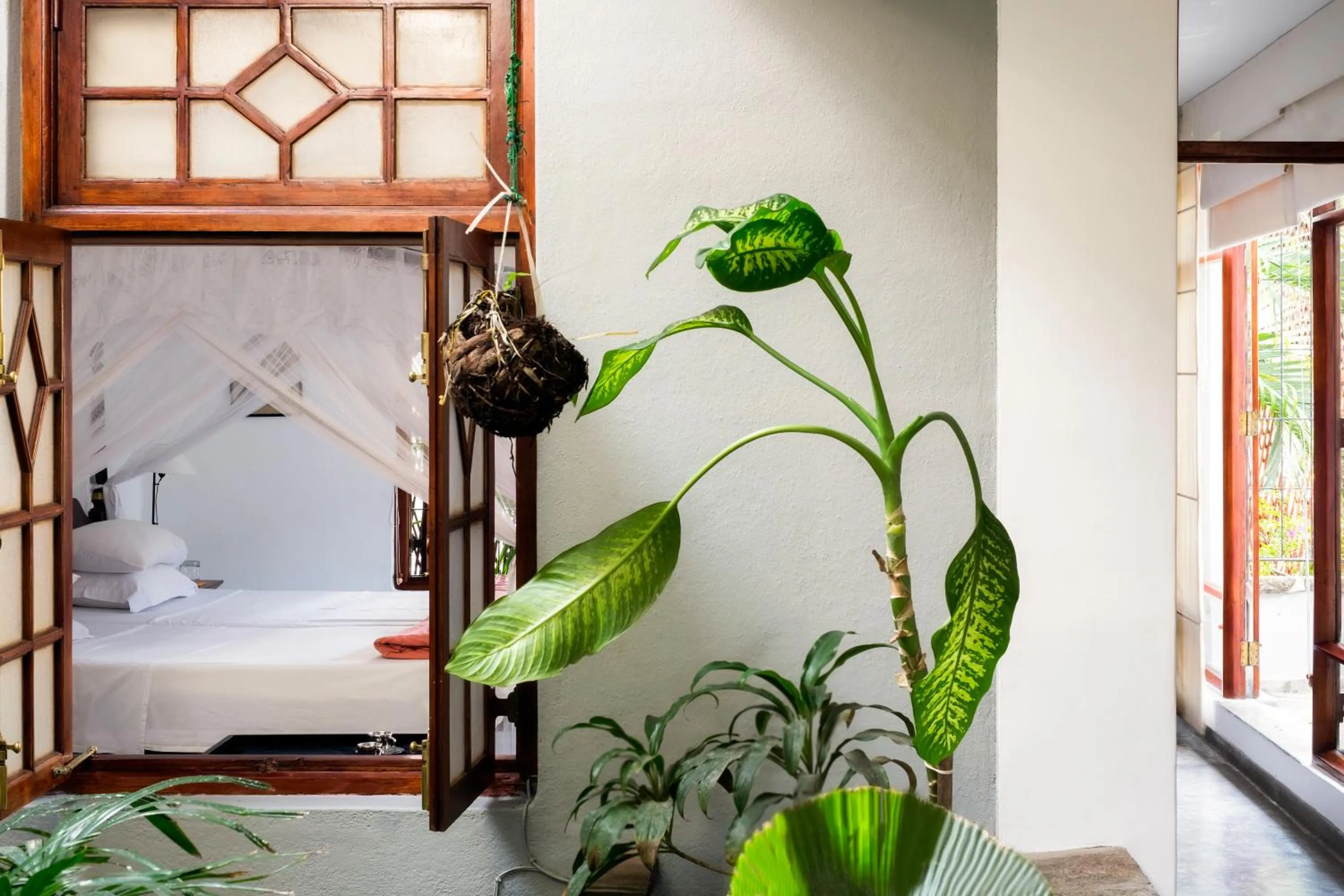 Decorative detail, Bed in Mount Lodge Boutique Hotel