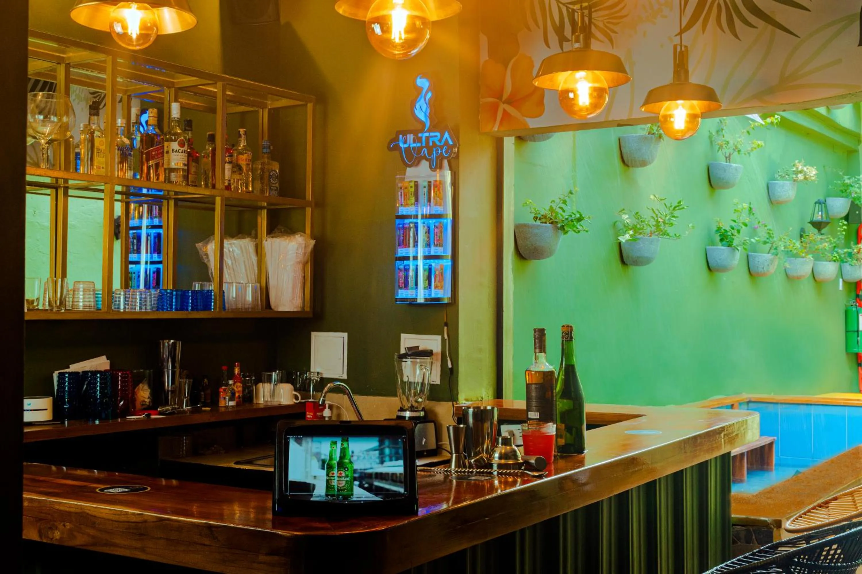 Lounge or bar in Seven Nights Hostel Cartagena