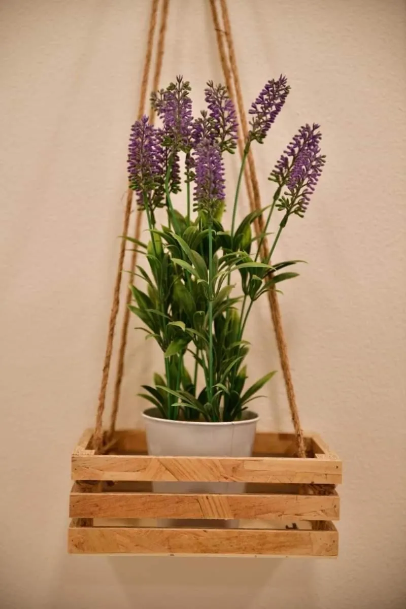 b&b La Rosa dei venti