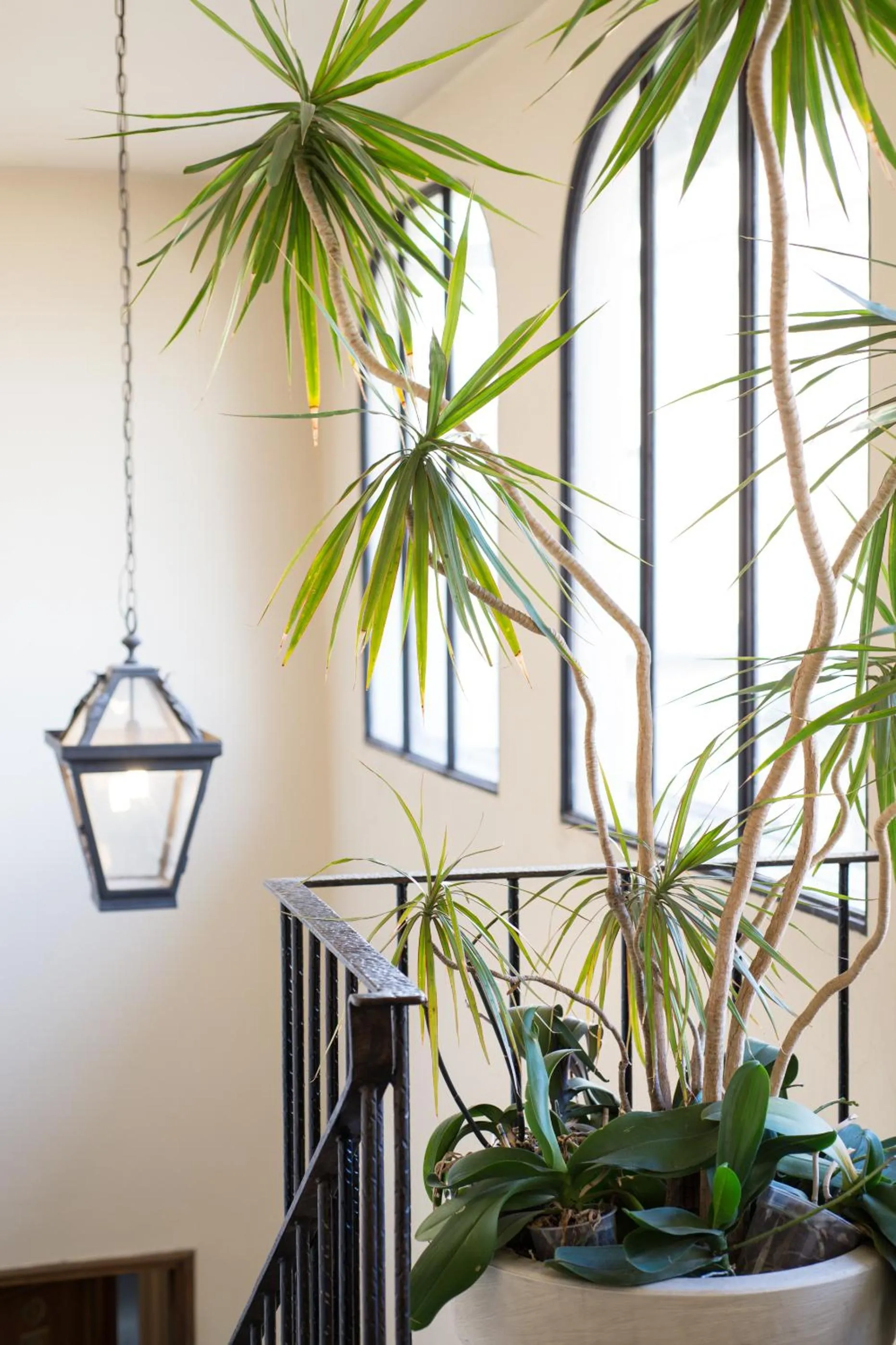 Other in Tornabuoni Suites Collection Residenza D'Epoca