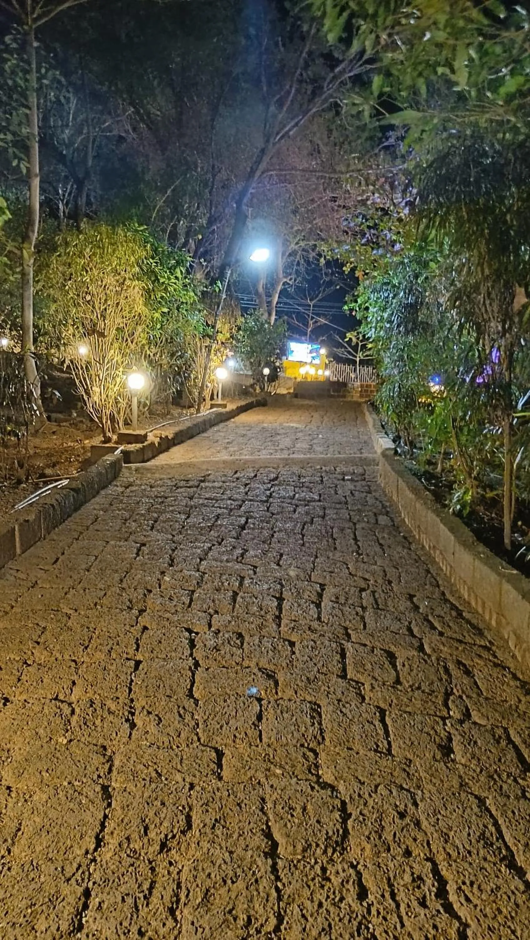 Garden view in Nature Inn Cottages