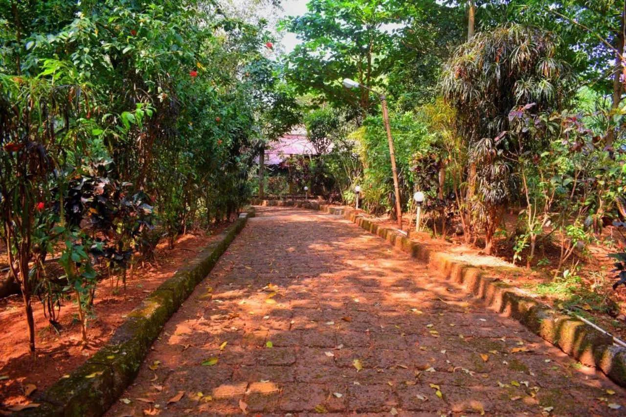 Natural landscape in Nature Inn Cottages