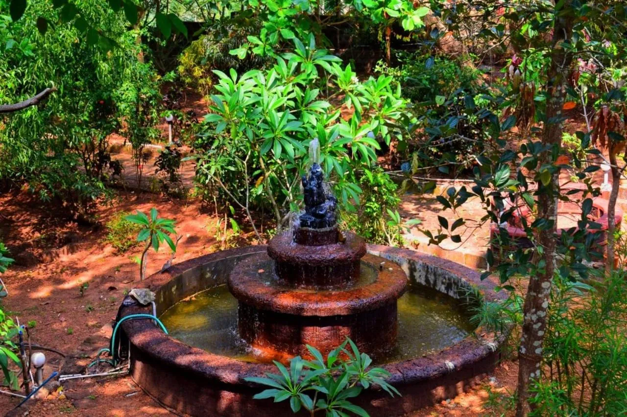 Natural landscape in Nature Inn Cottages