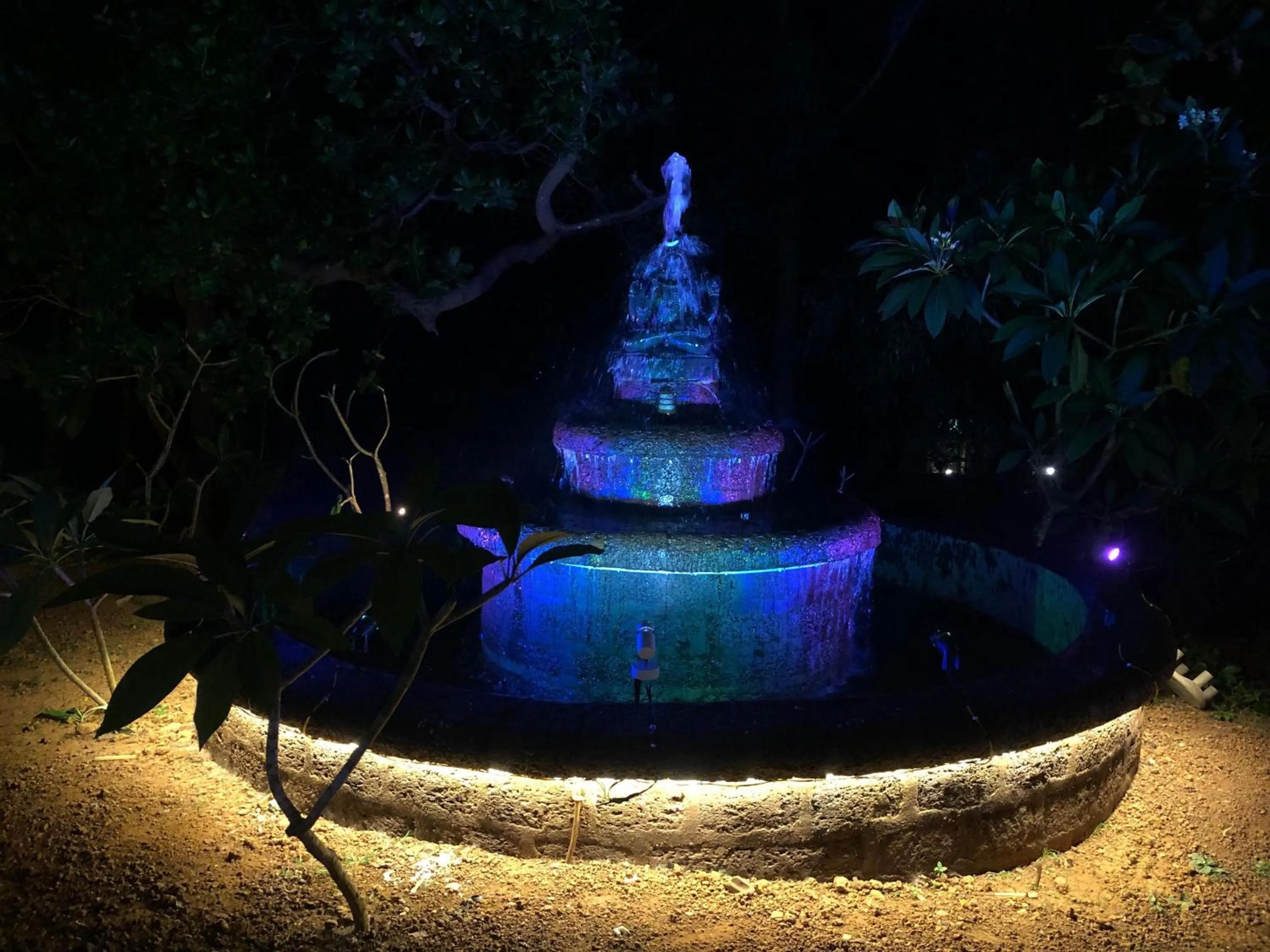 Night in Nature Inn Cottages