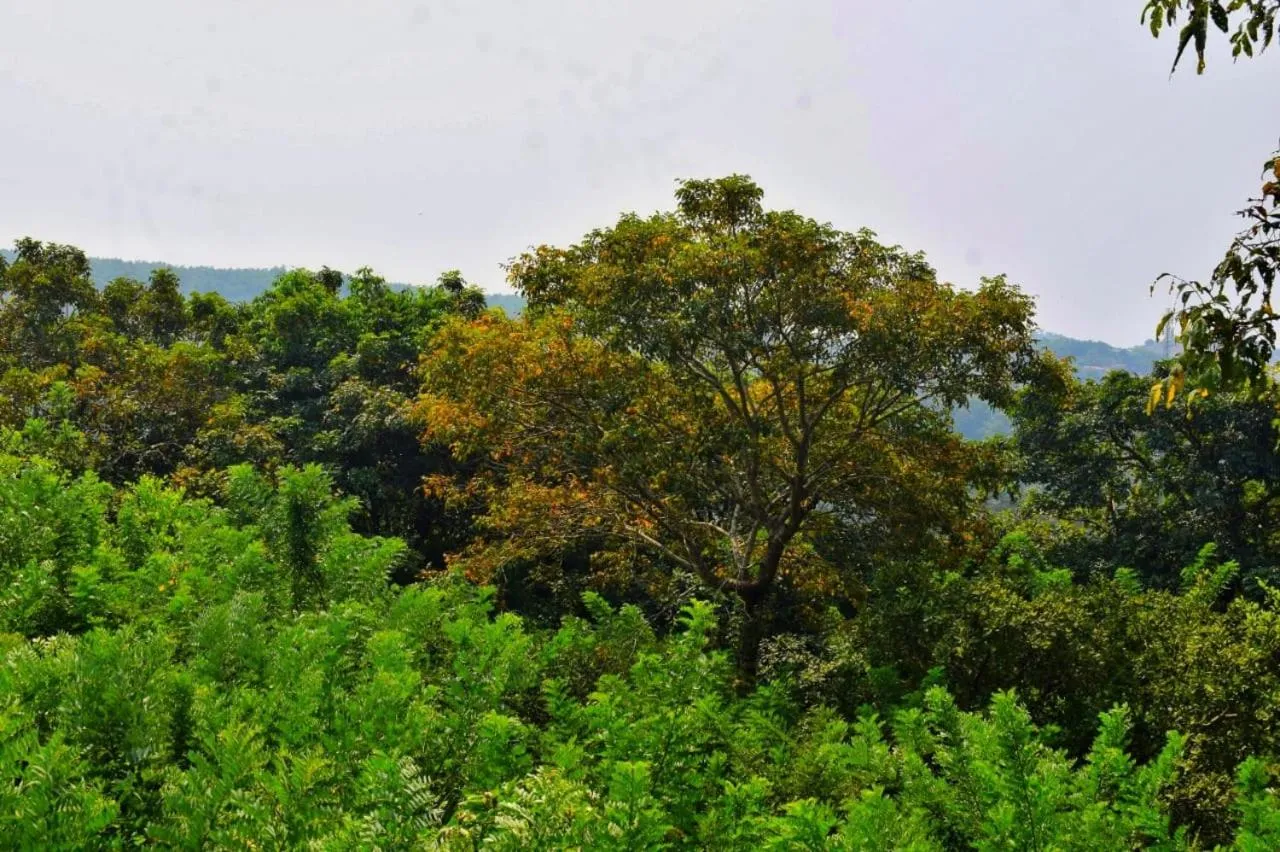 Natural landscape in Nature Inn Cottages