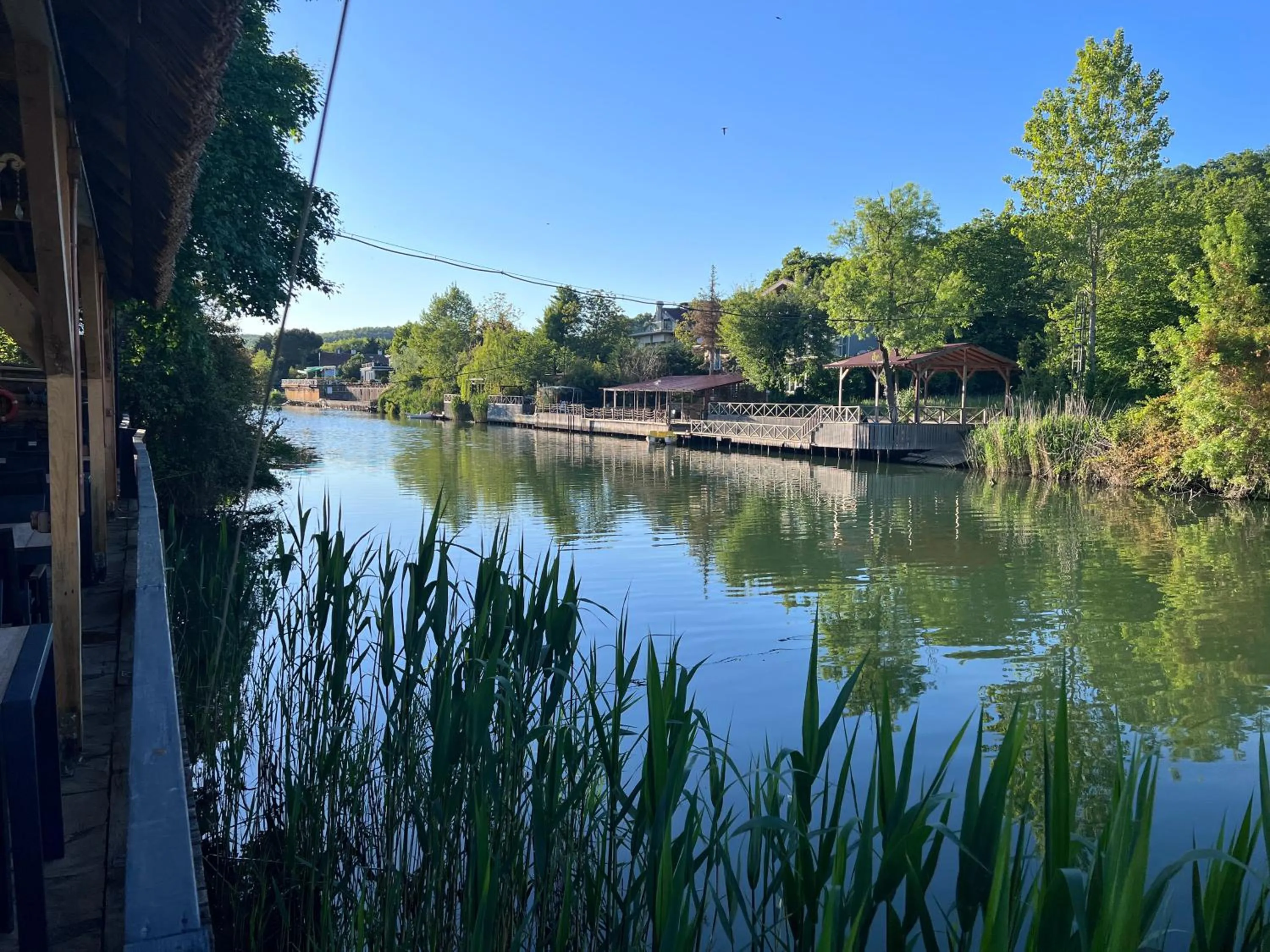Natural landscape in Dachas Cove Hotel