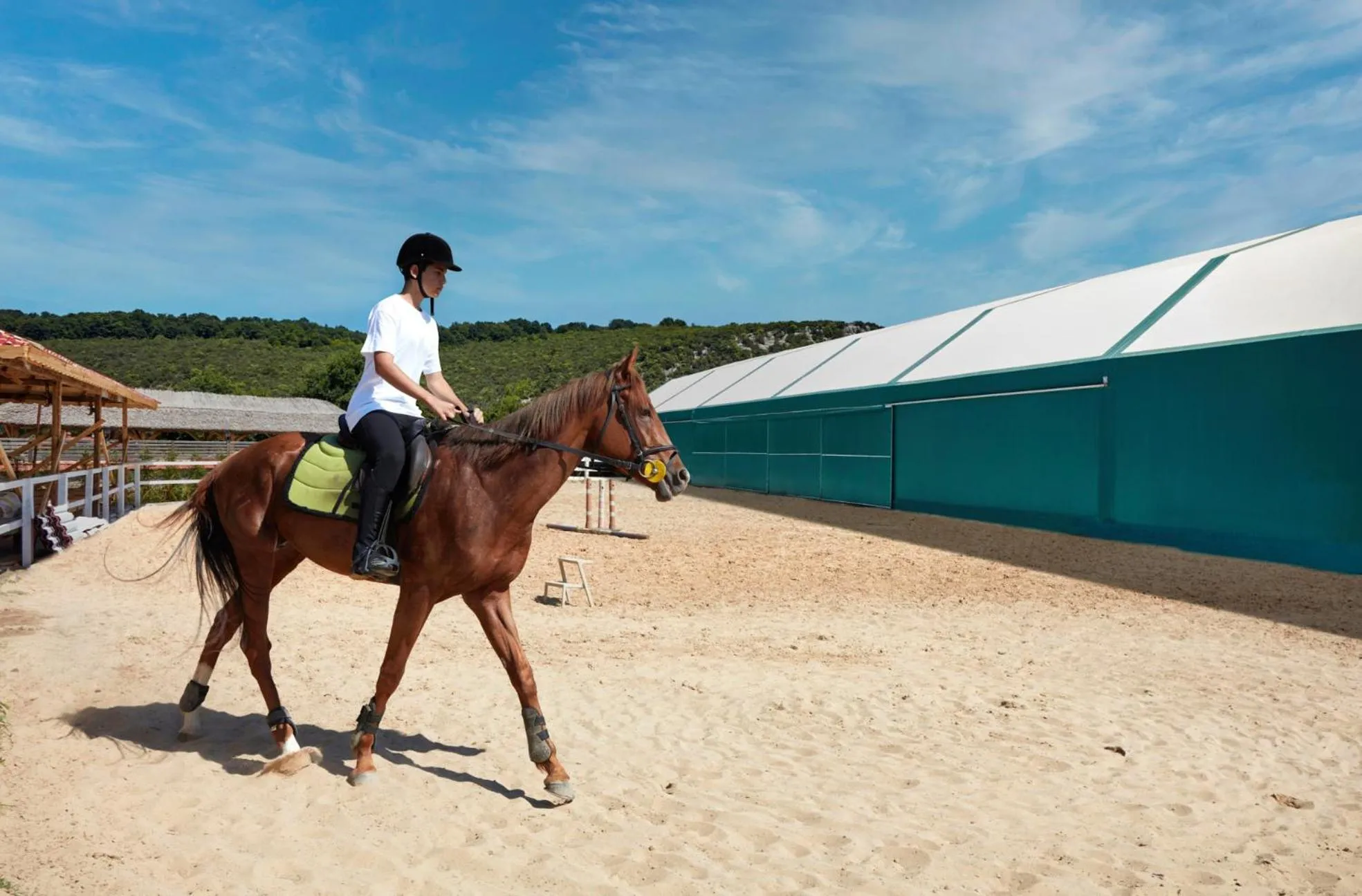 Activities in Dachas Cove Hotel