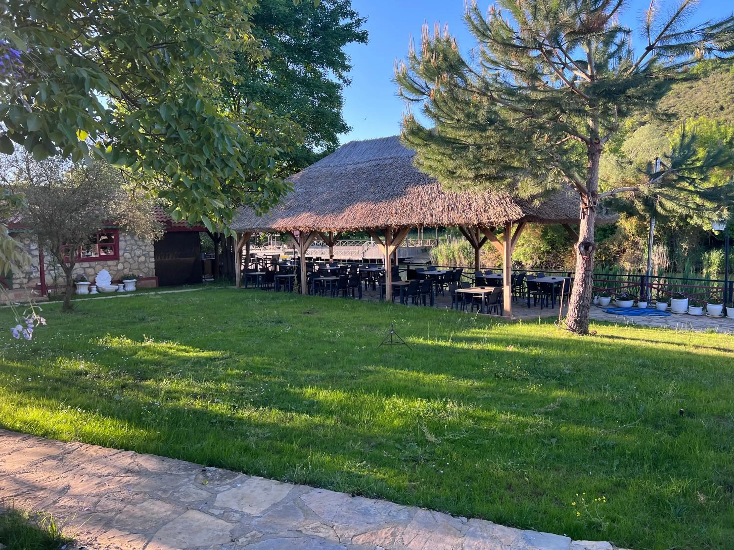 Garden in Dachas Cove Hotel