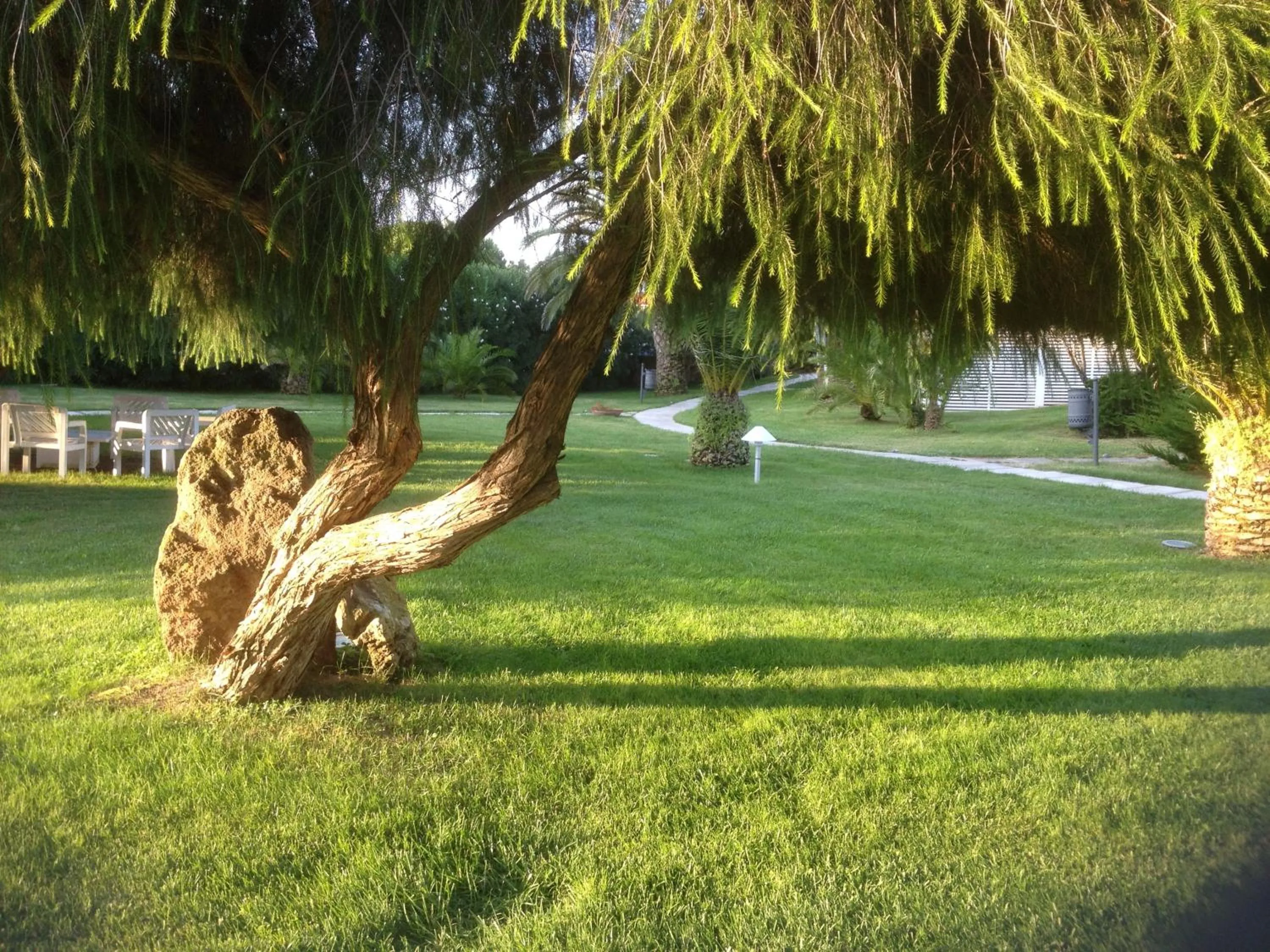 Garden in Cala Rosa Club Hotel
