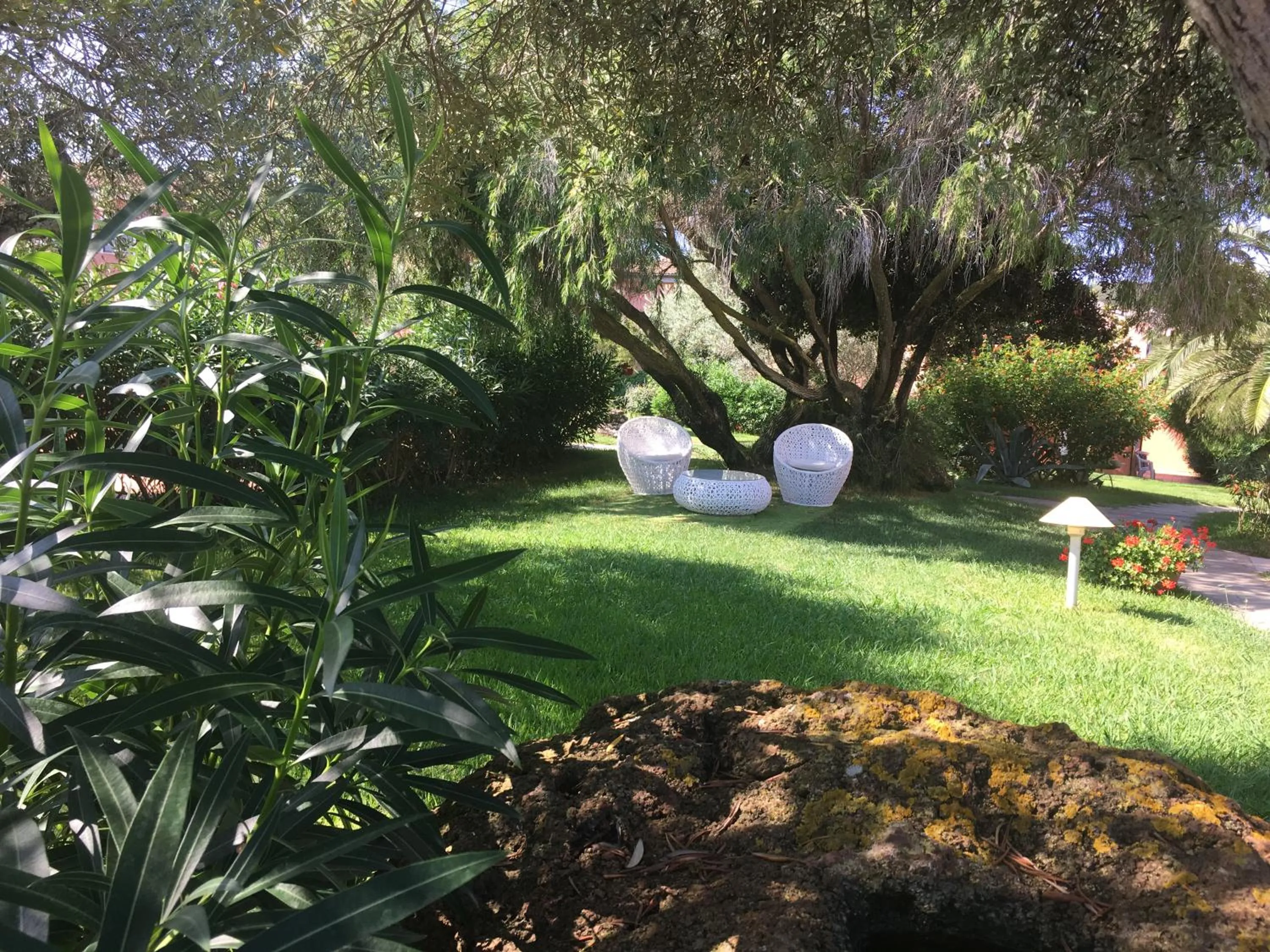 Garden in Cala Rosa Club Hotel
