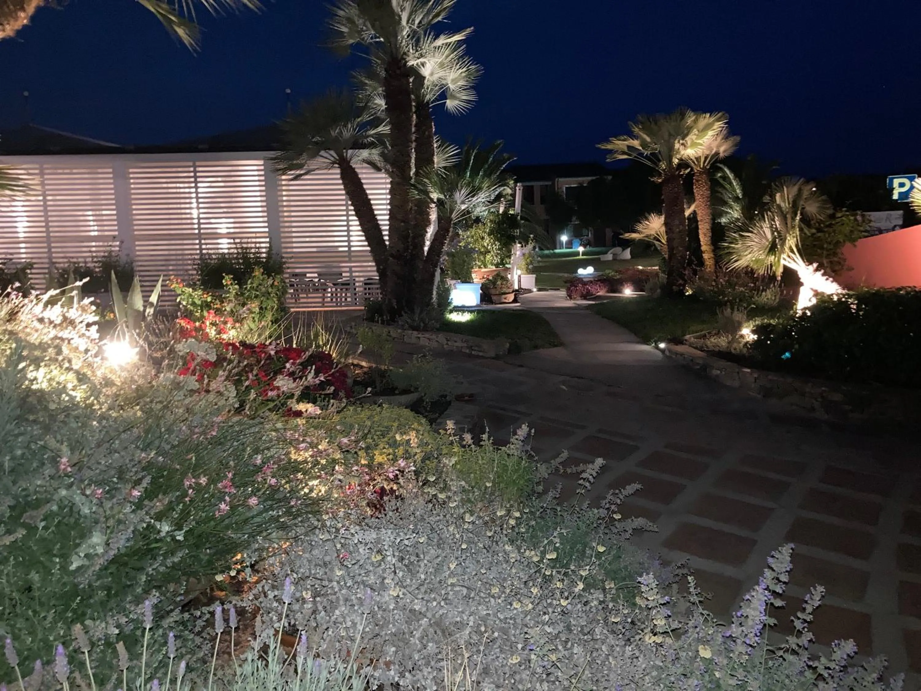 Garden view in Cala Rosa Club Hotel