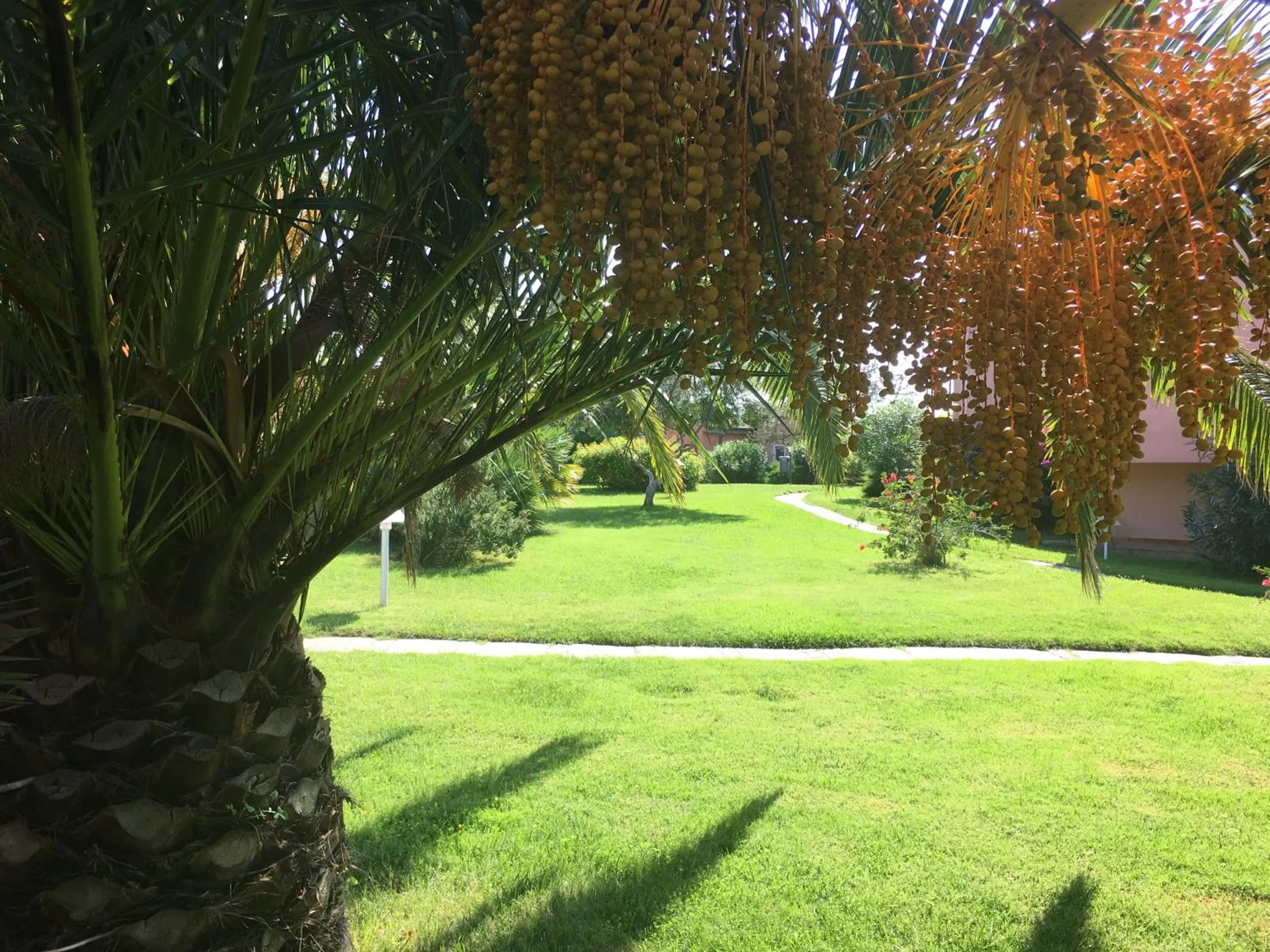 Garden in Cala Rosa Club Hotel