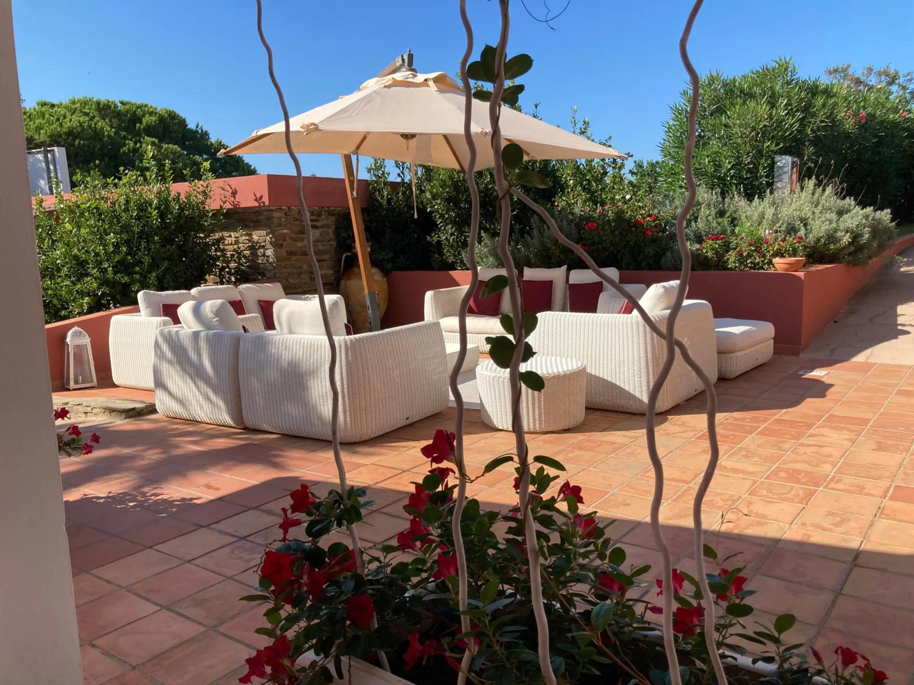 Garden in Cala Rosa Club Hotel