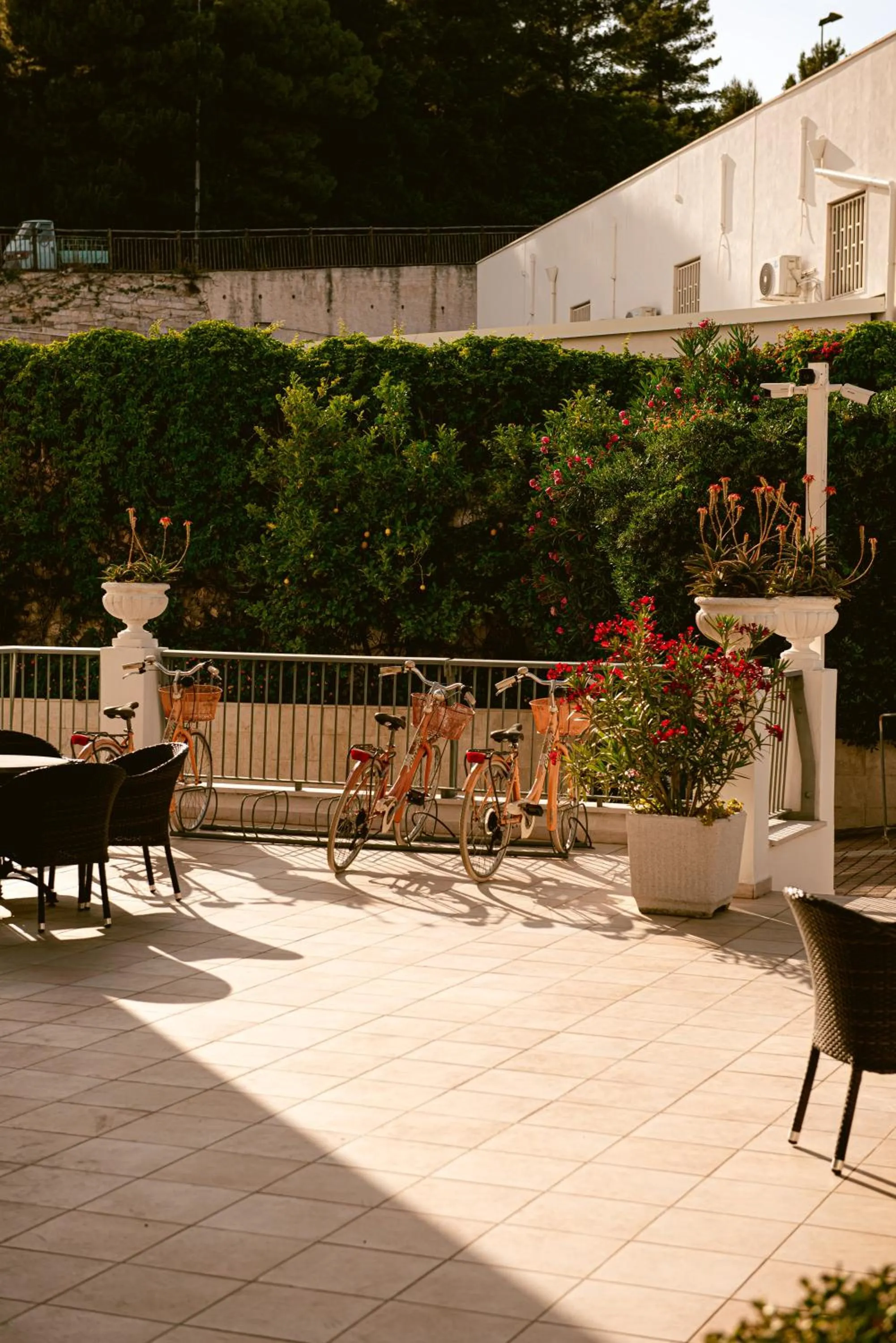 Patio in Hotel Degli Aranci