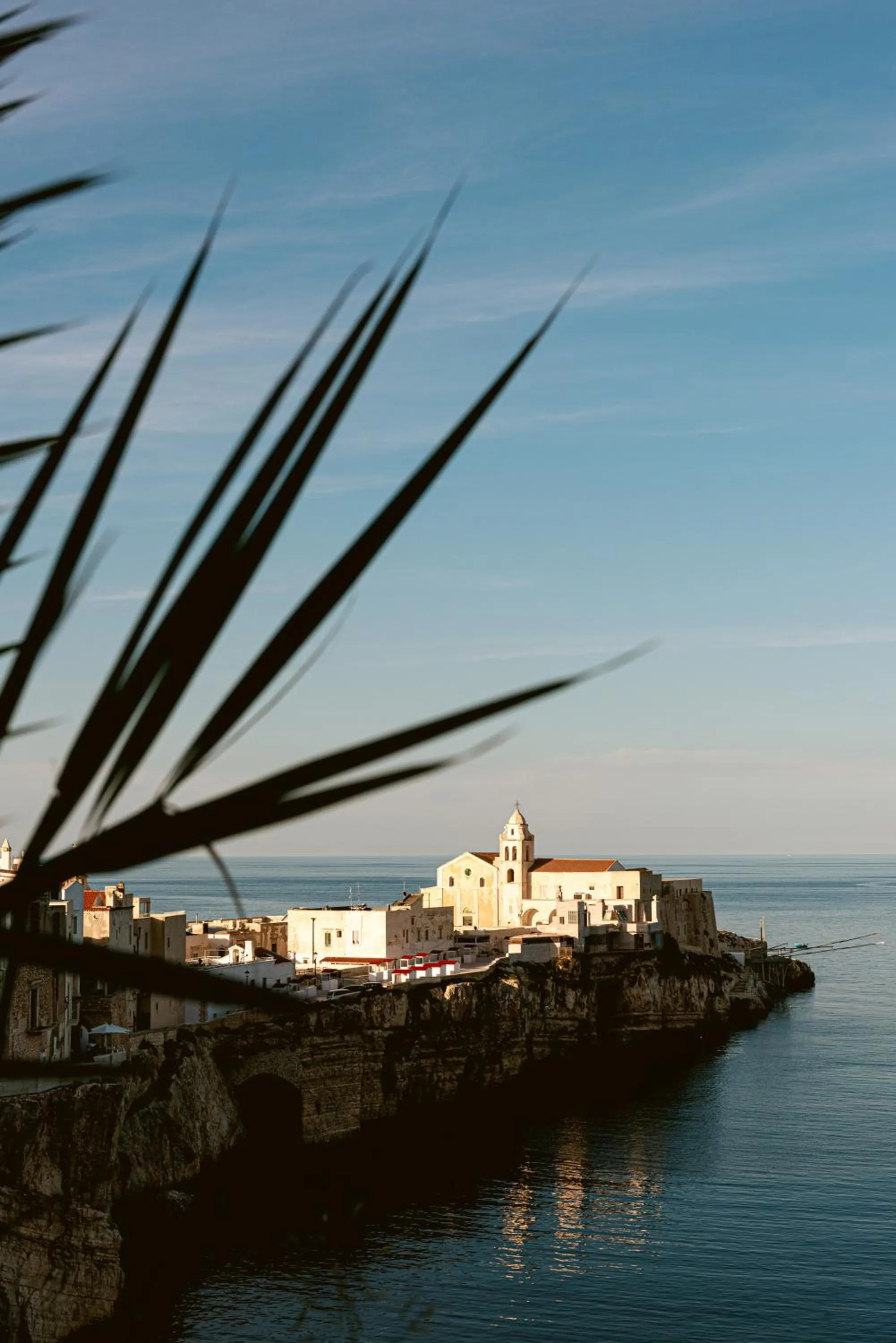 Summer in Hotel Degli Aranci