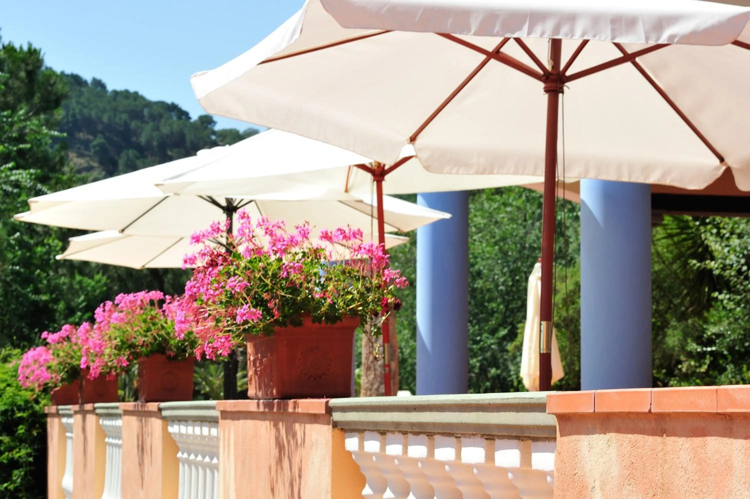 Balcony/Terrace in Hotel Su Lithu