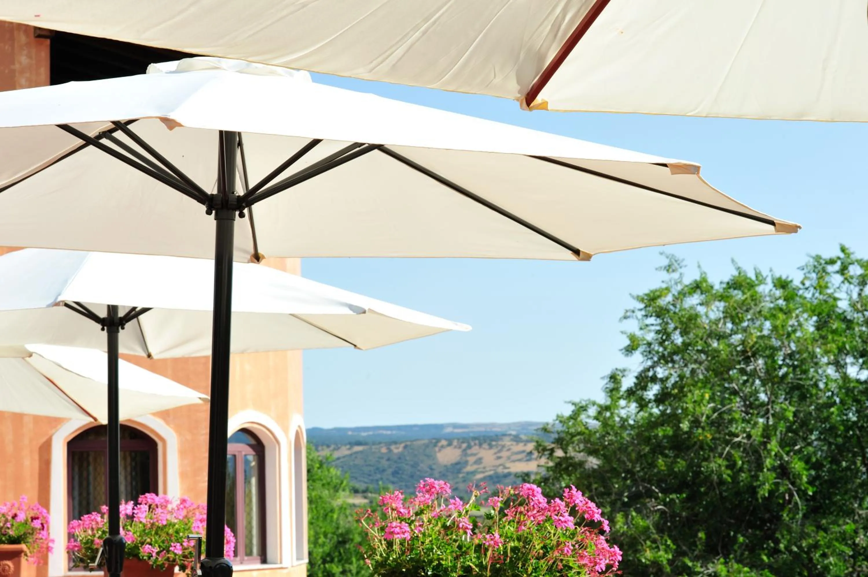 Balcony/Terrace in Hotel Su Lithu