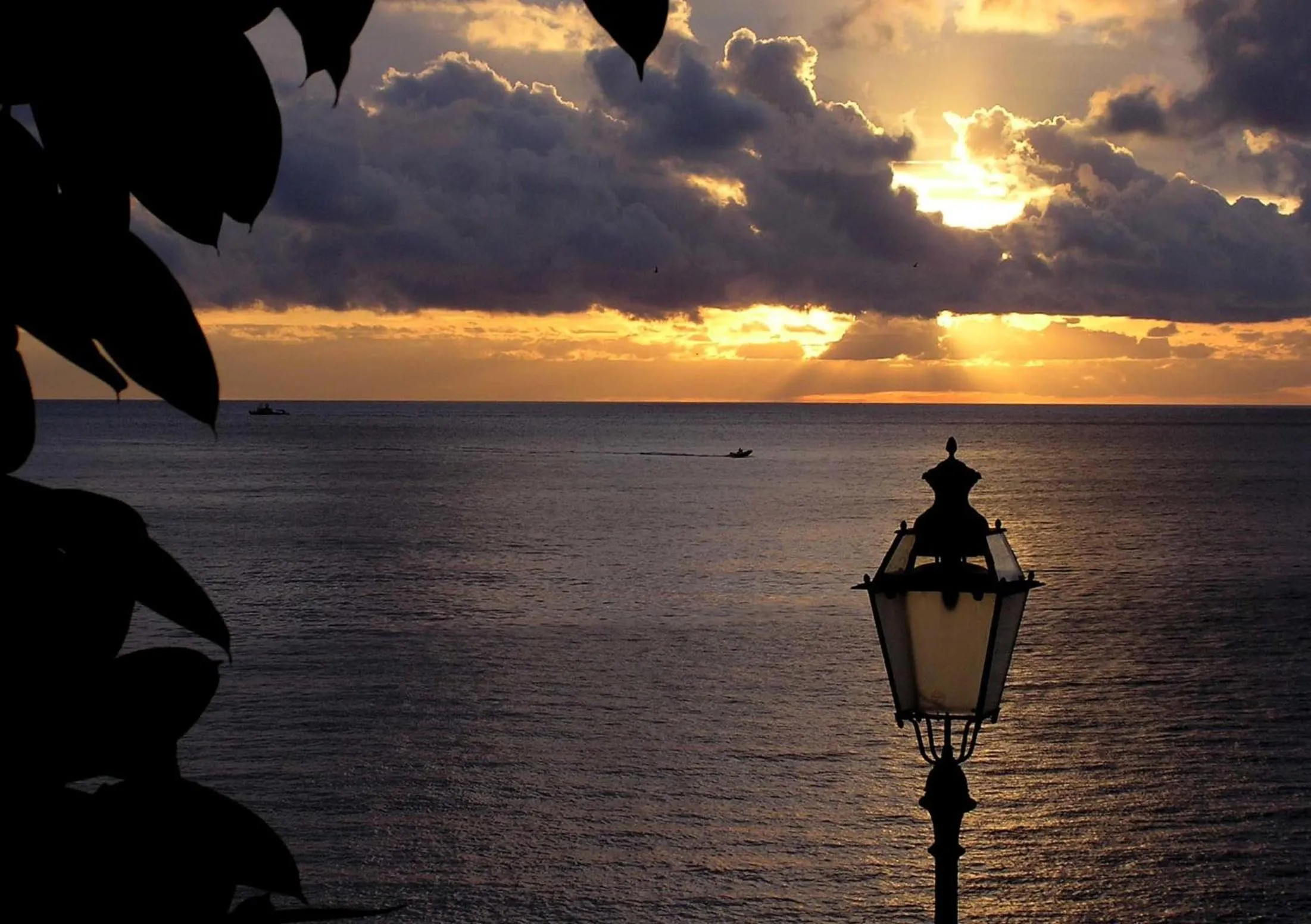 Area and facilities in La Camogliese Hotel B&B