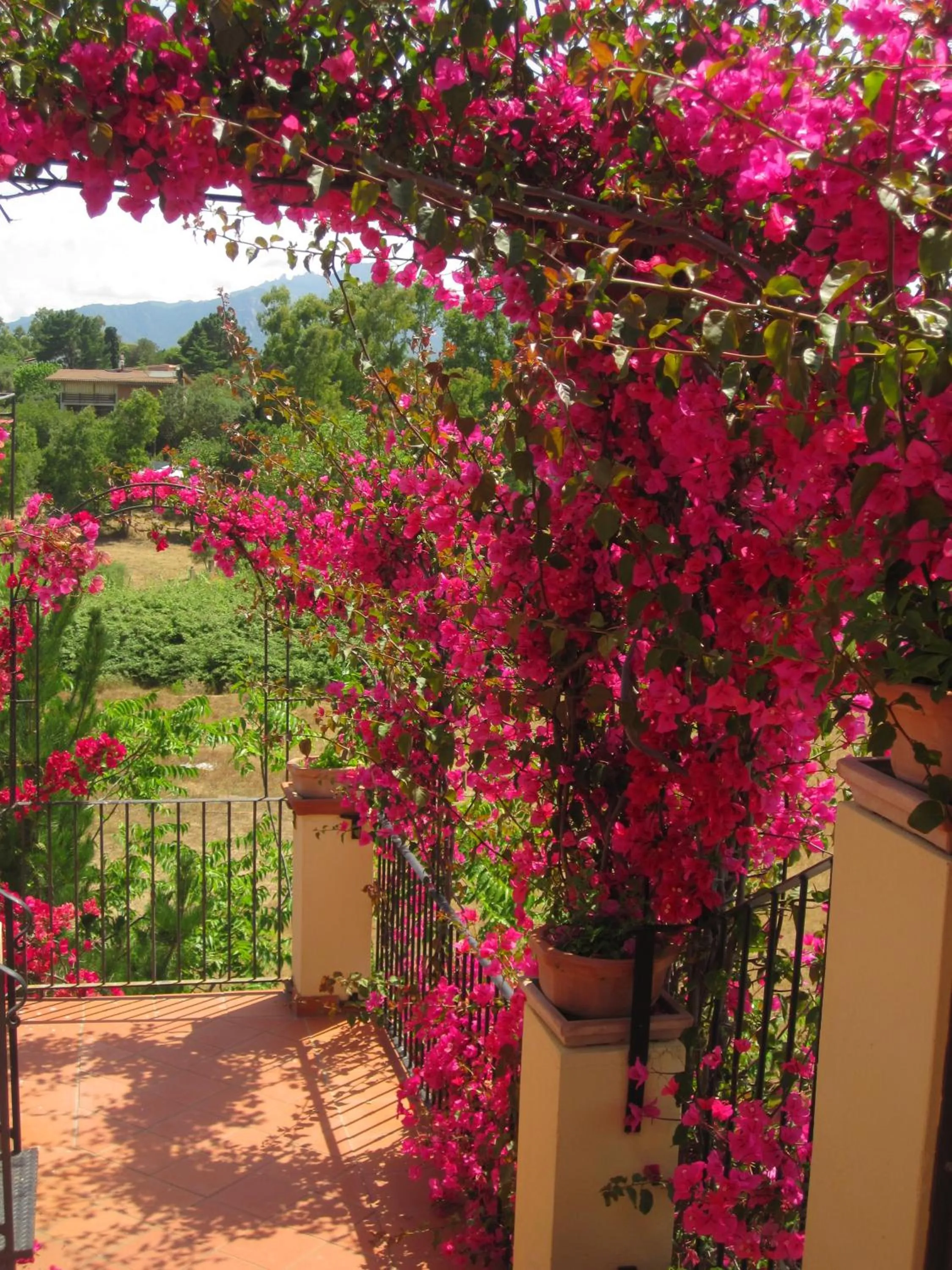 Balcony/Terrace in Domus De Janas Sul Mare