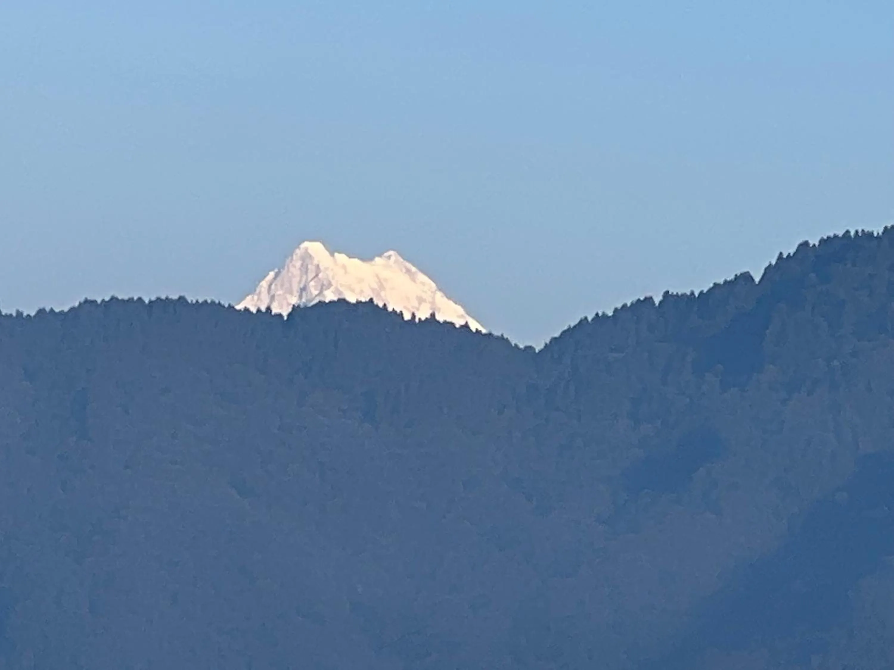 Mountain view in Palri Boutique Hotel