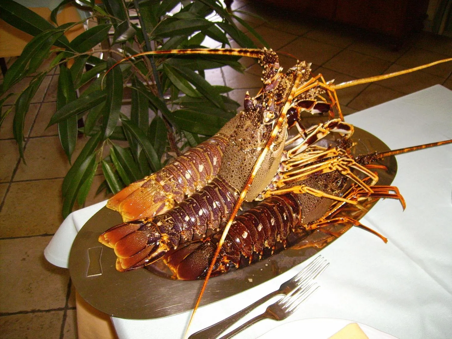 Food close-up in Hotel Perda Rubia