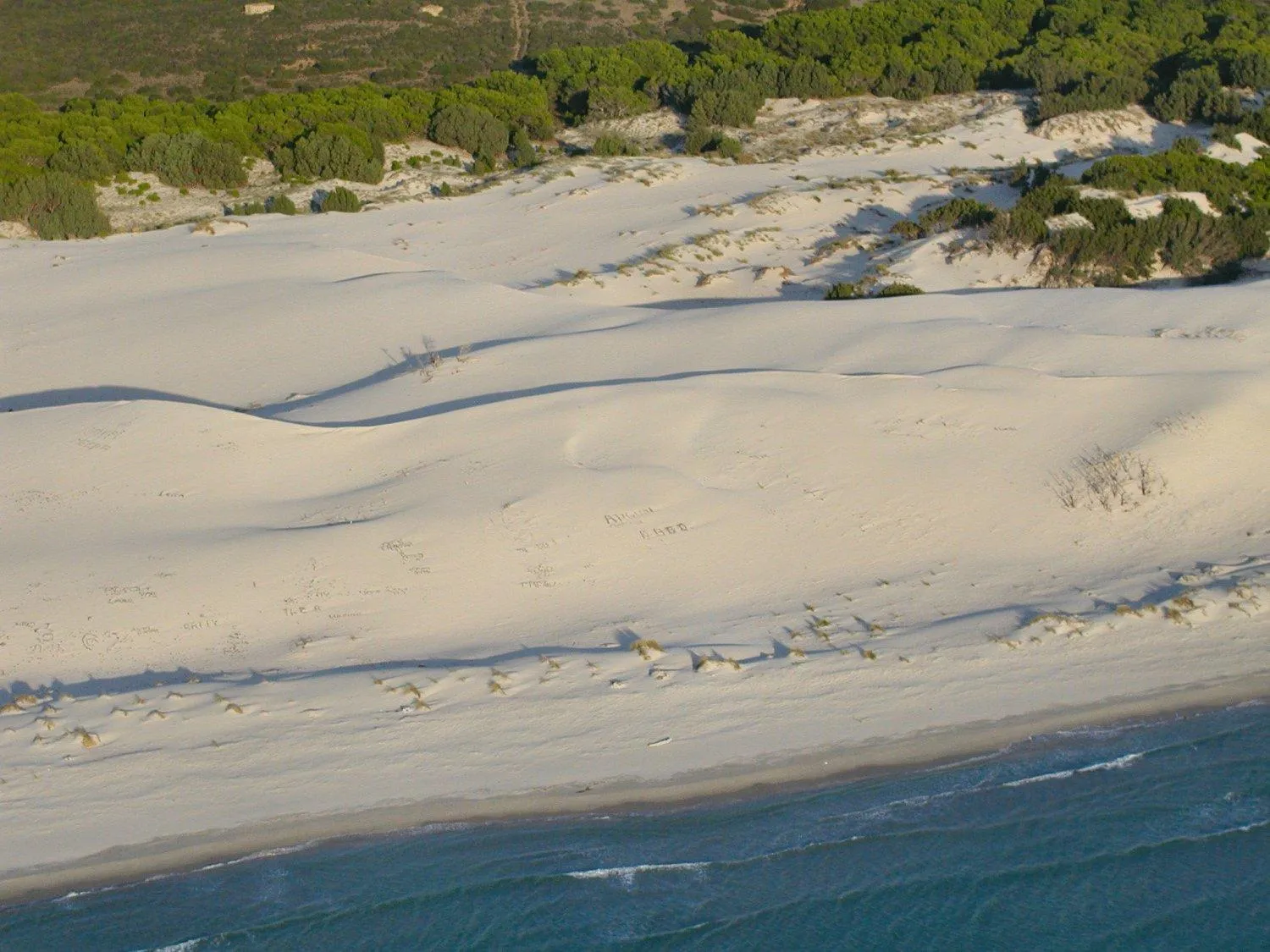 Beach in Hotel Perda Rubia