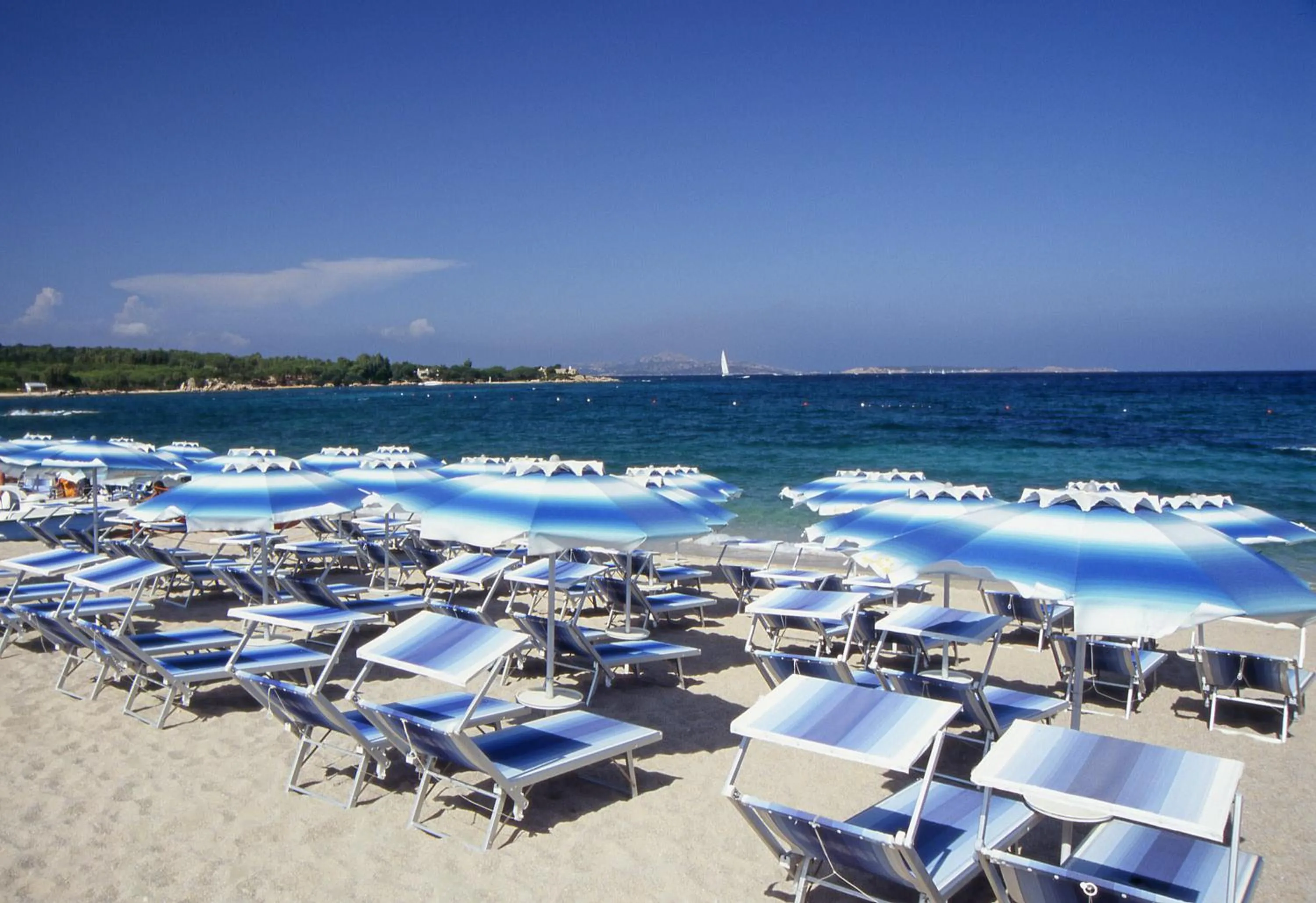 Beach in Hotel Stelle Marine