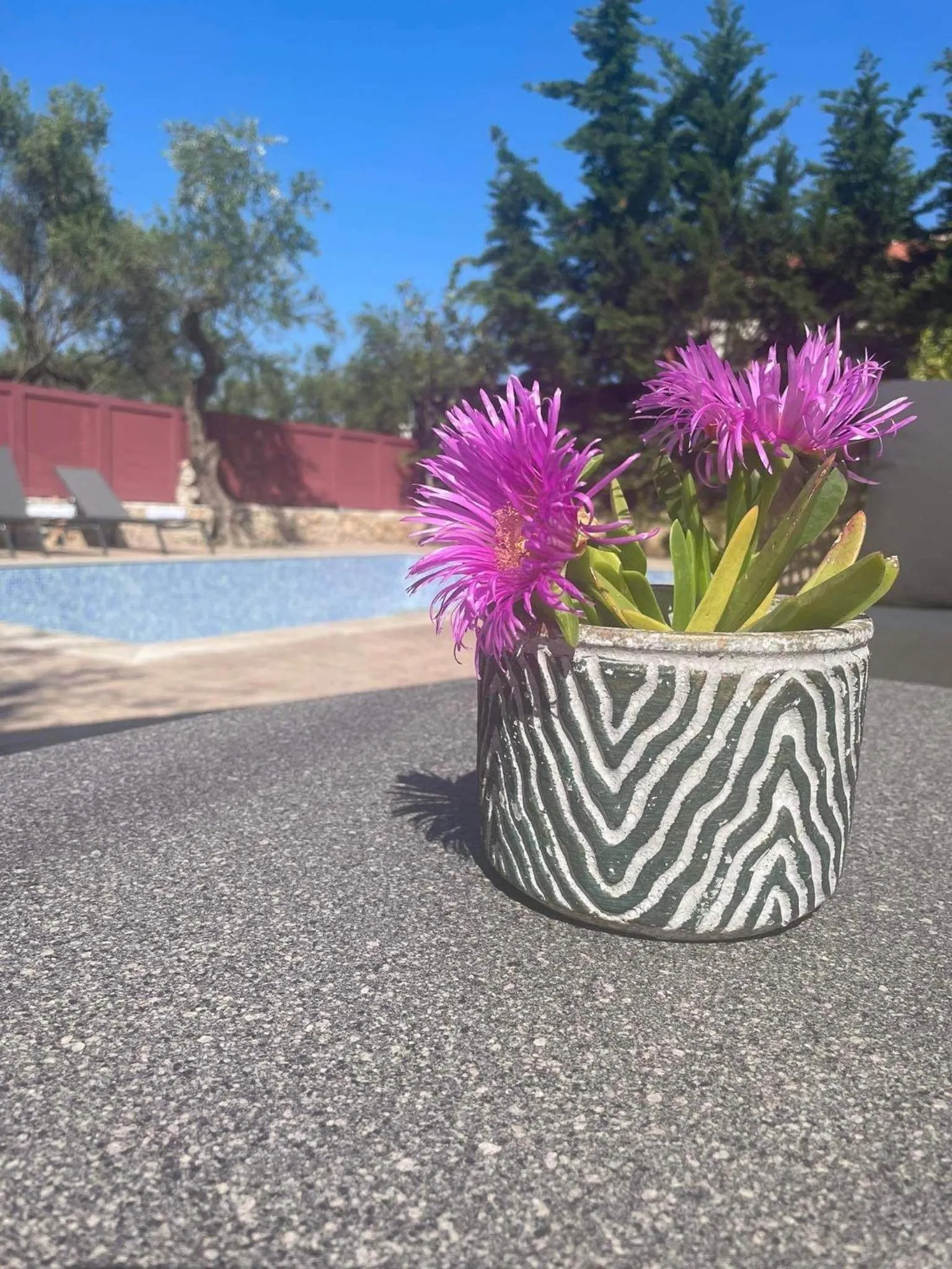 Nissi Collection Rooms