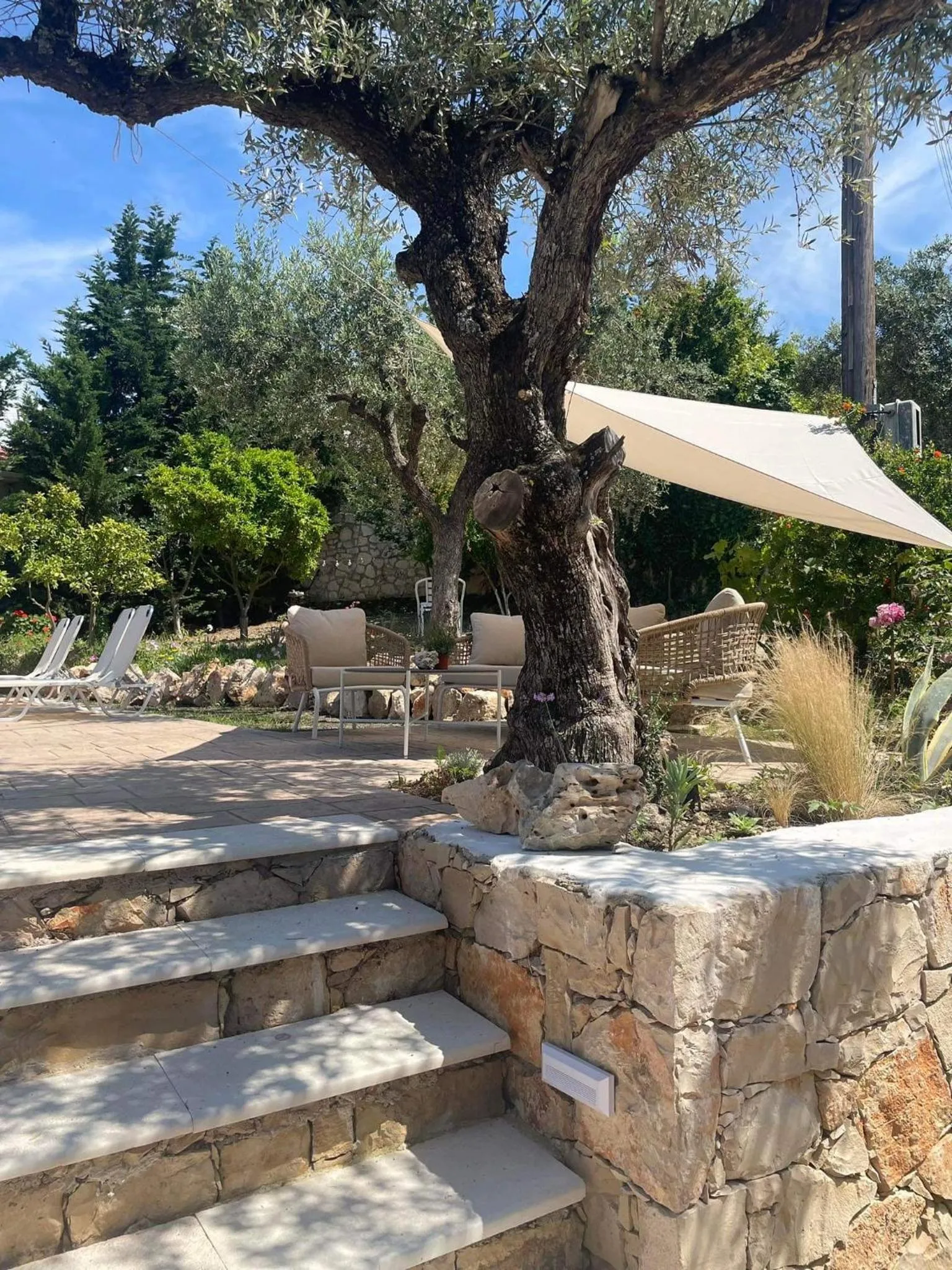 Nissi Collection Rooms