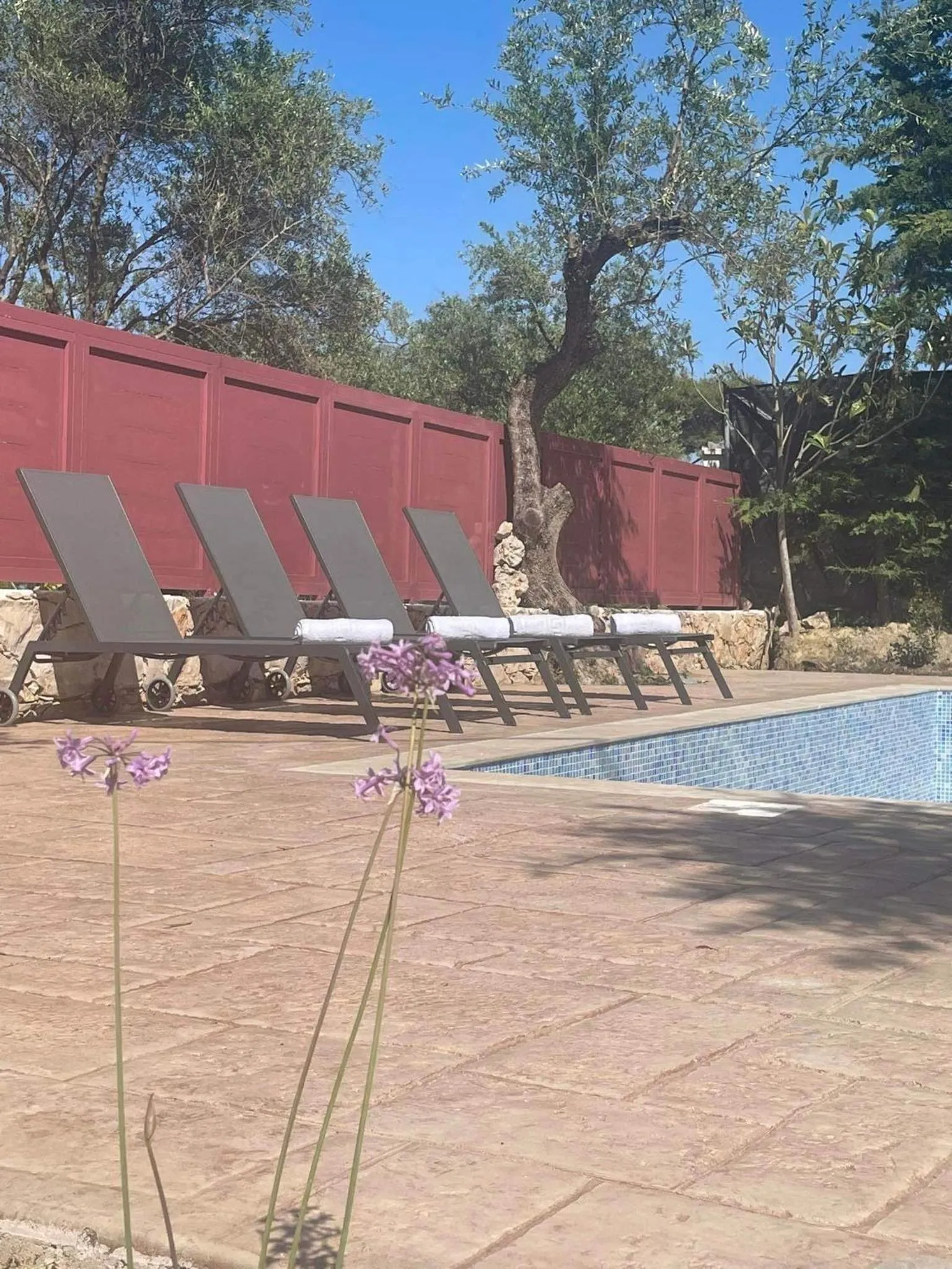 Nissi Collection Rooms