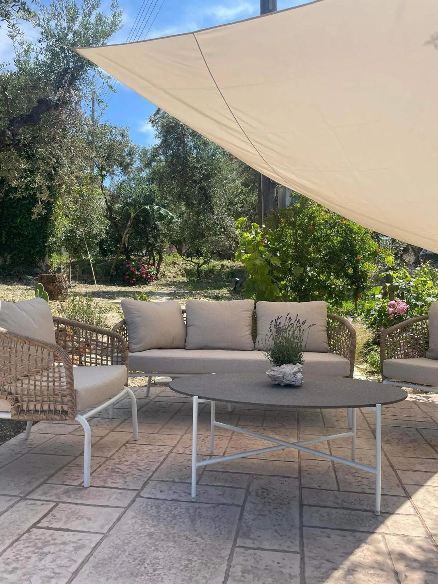 Swimming pool in Nissi Collection Rooms