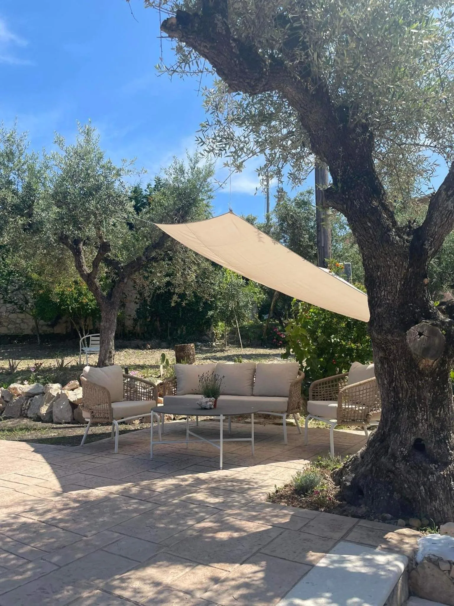 Swimming pool in Nissi Collection Rooms