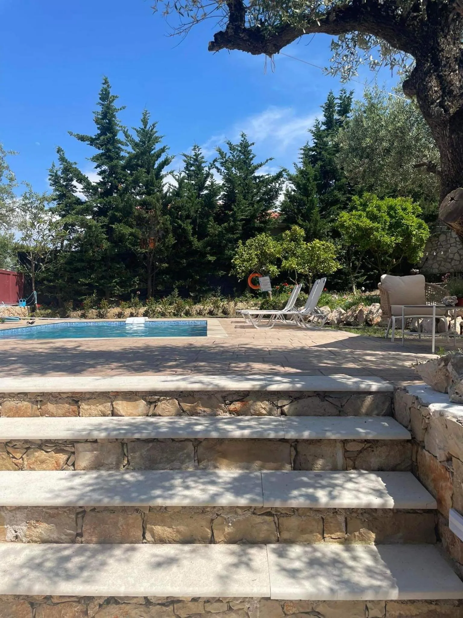 Swimming pool in Nissi Collection Rooms