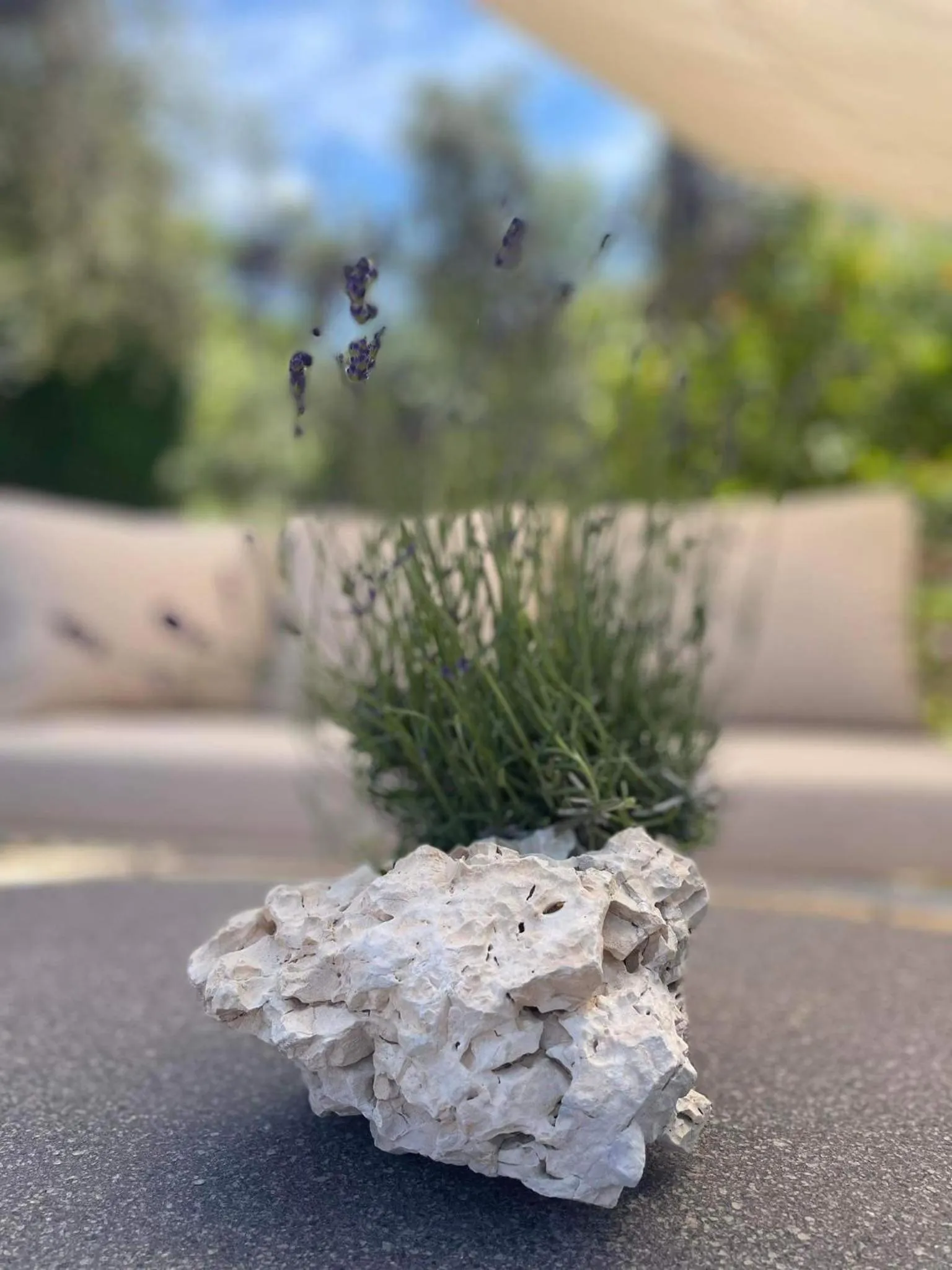 Swimming pool in Nissi Collection Rooms