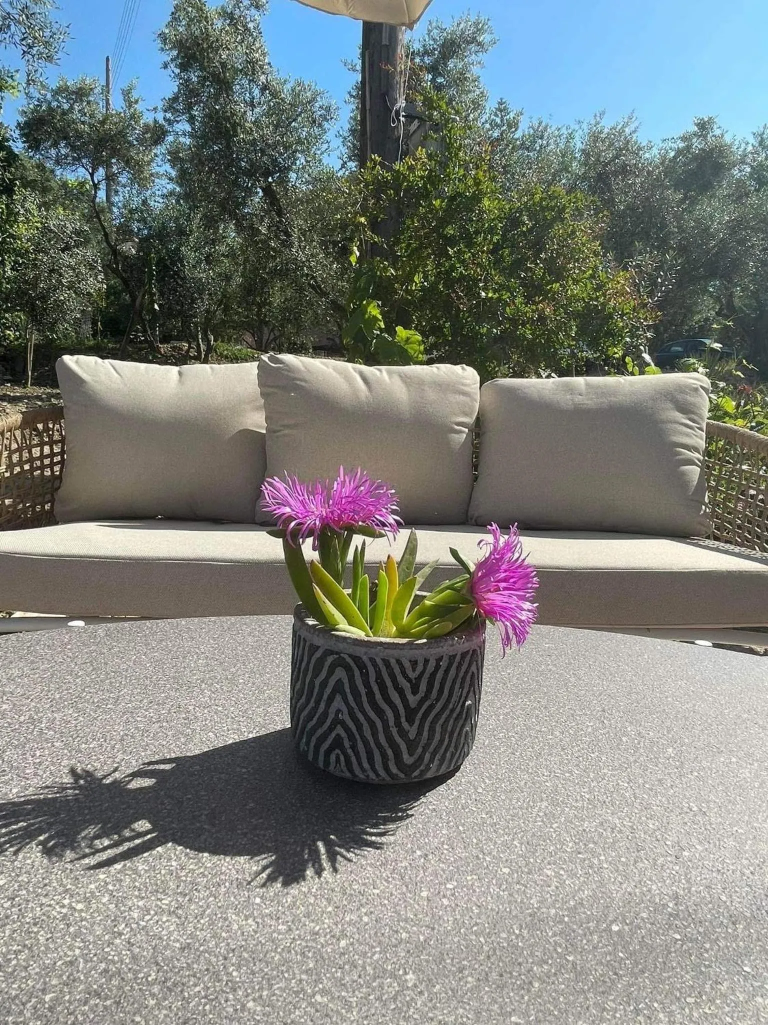 Nissi Collection Rooms