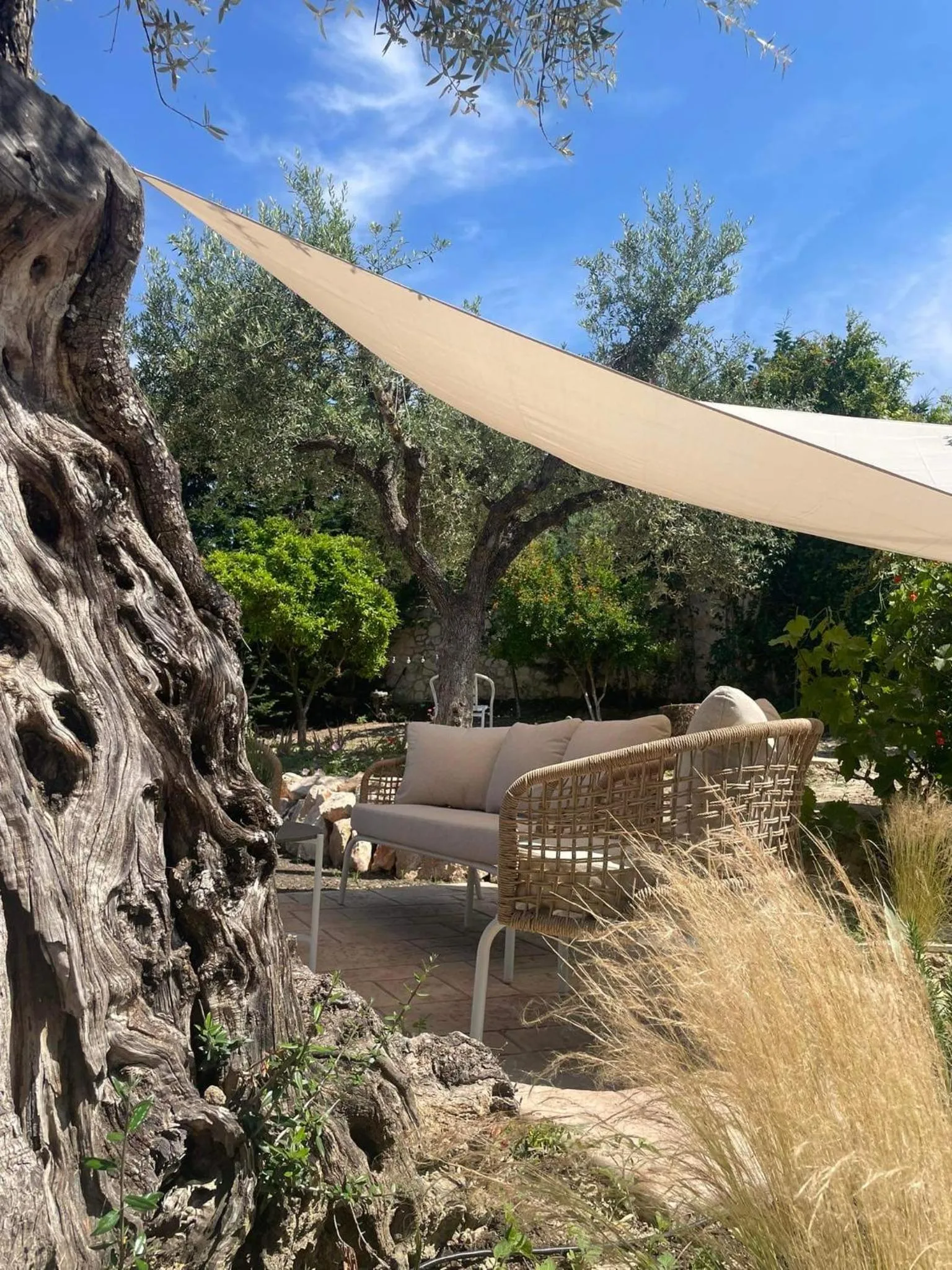 Nissi Collection Rooms