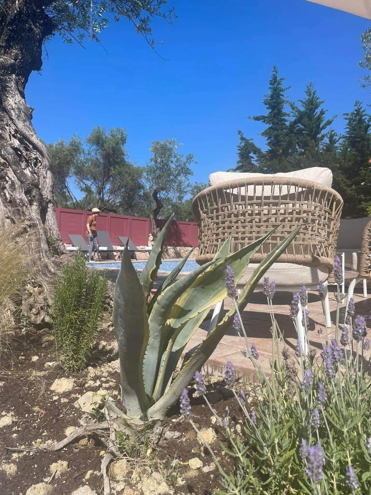 Nissi Collection Rooms