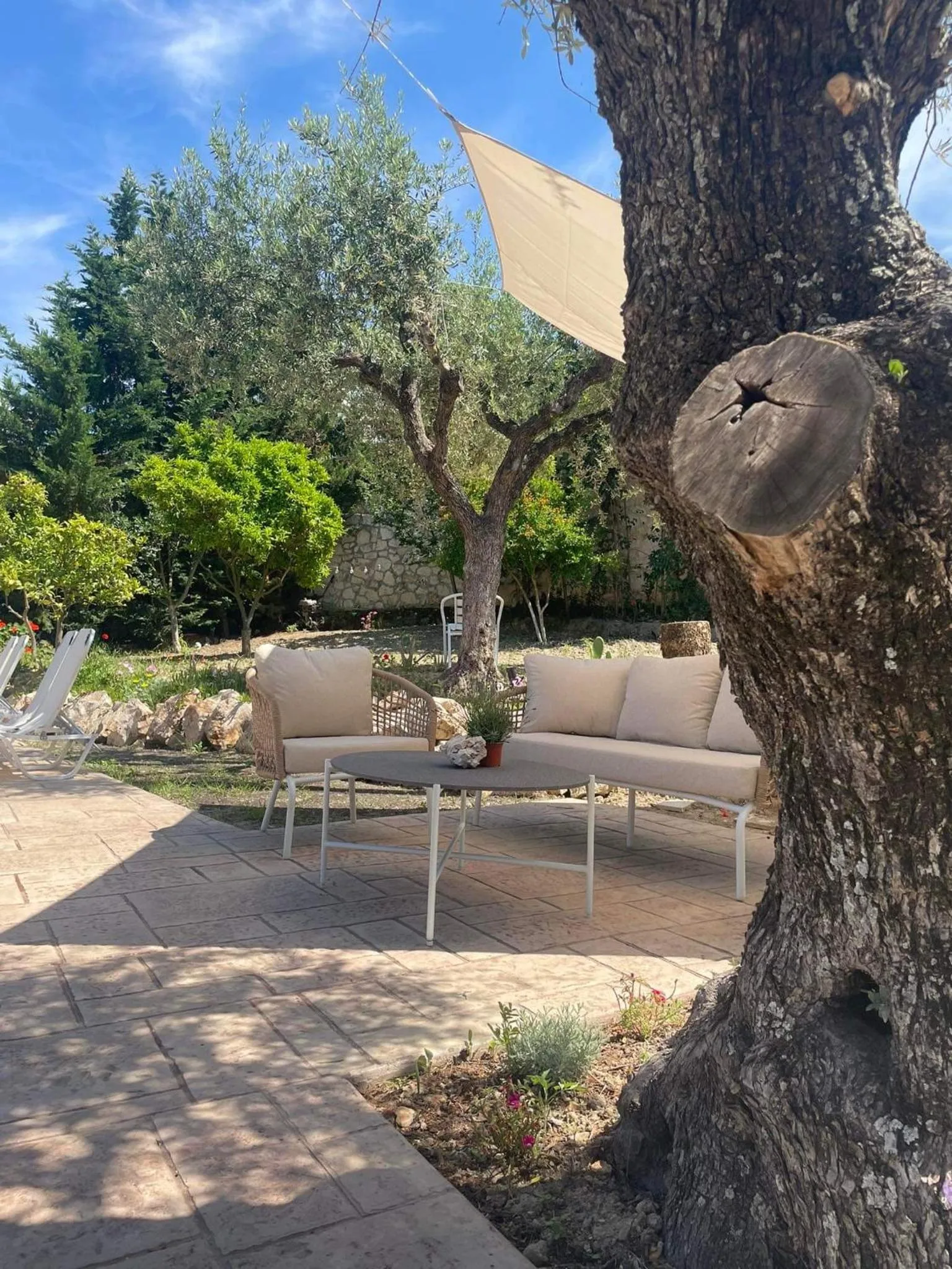 Swimming pool in Nissi Collection Rooms