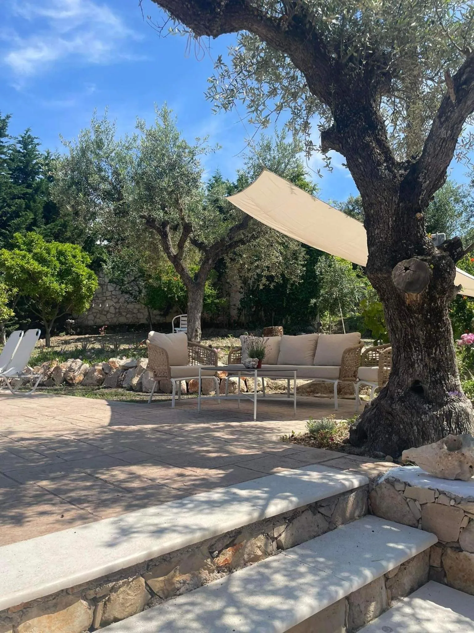 Nissi Collection Rooms