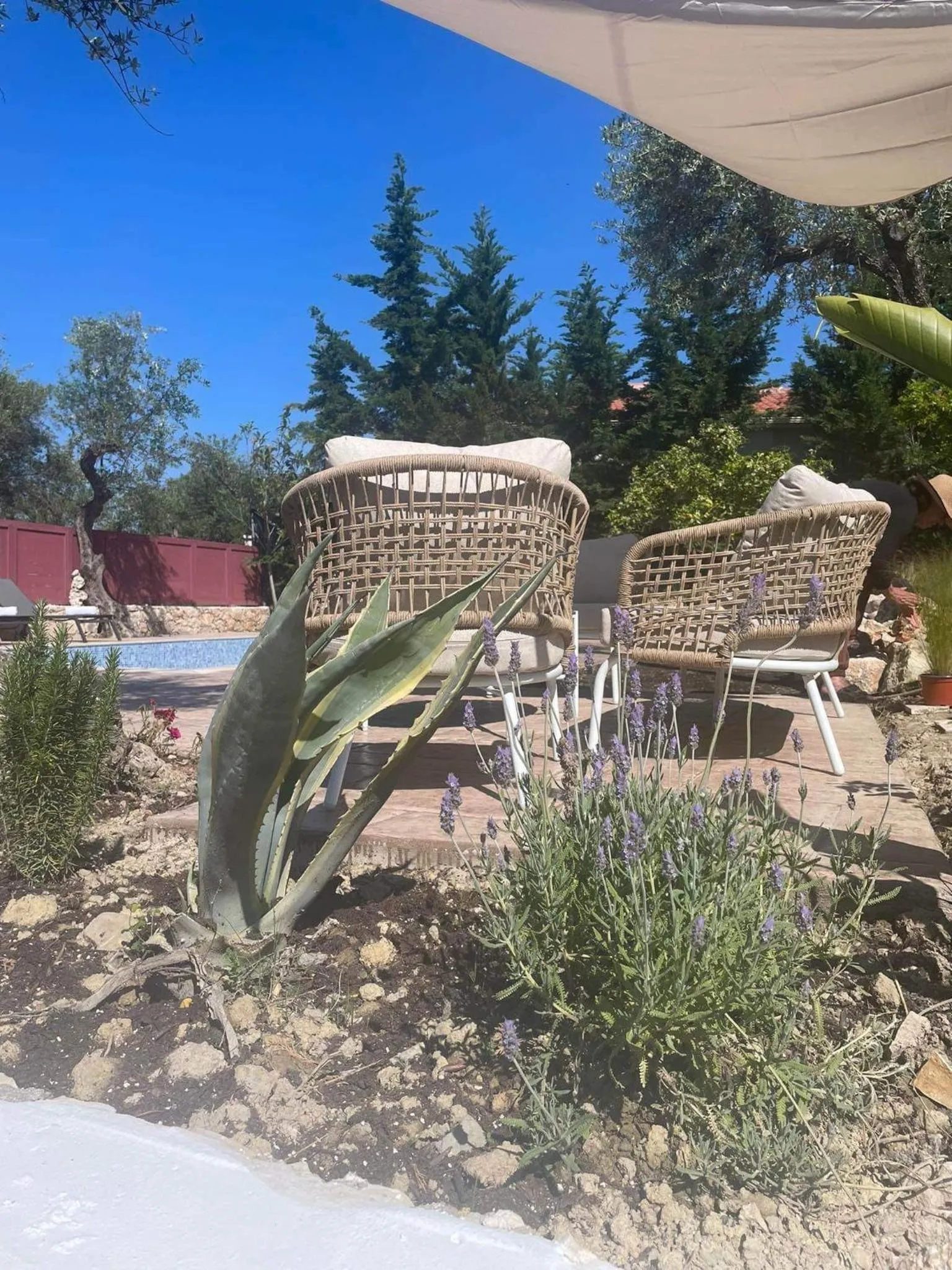 Nissi Collection Rooms