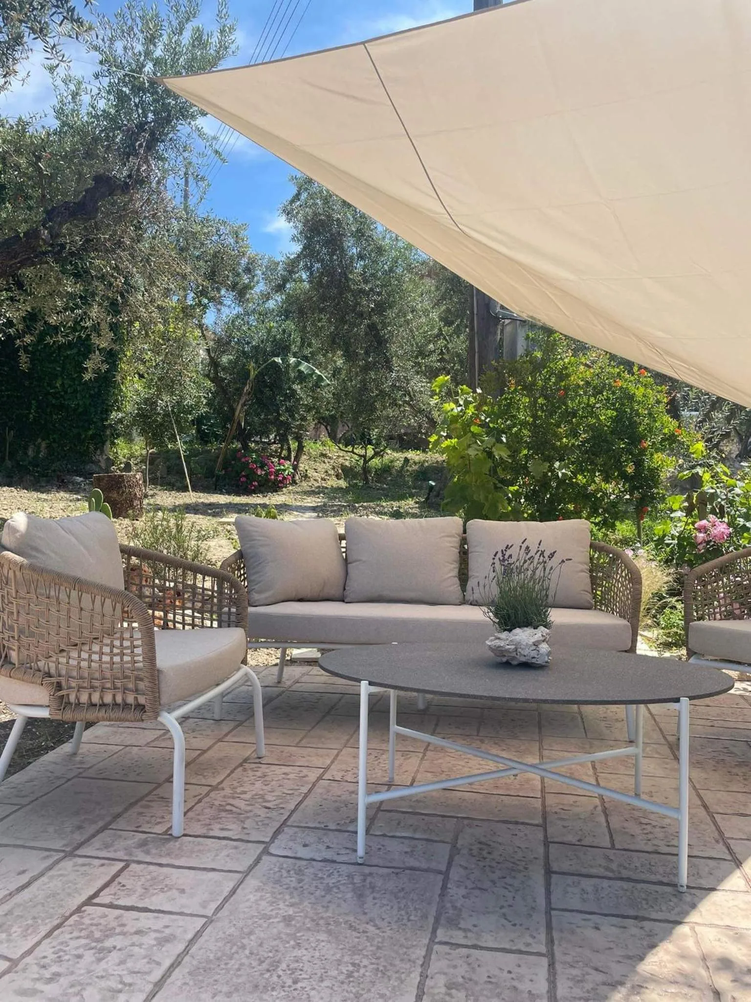 Nissi Collection Rooms