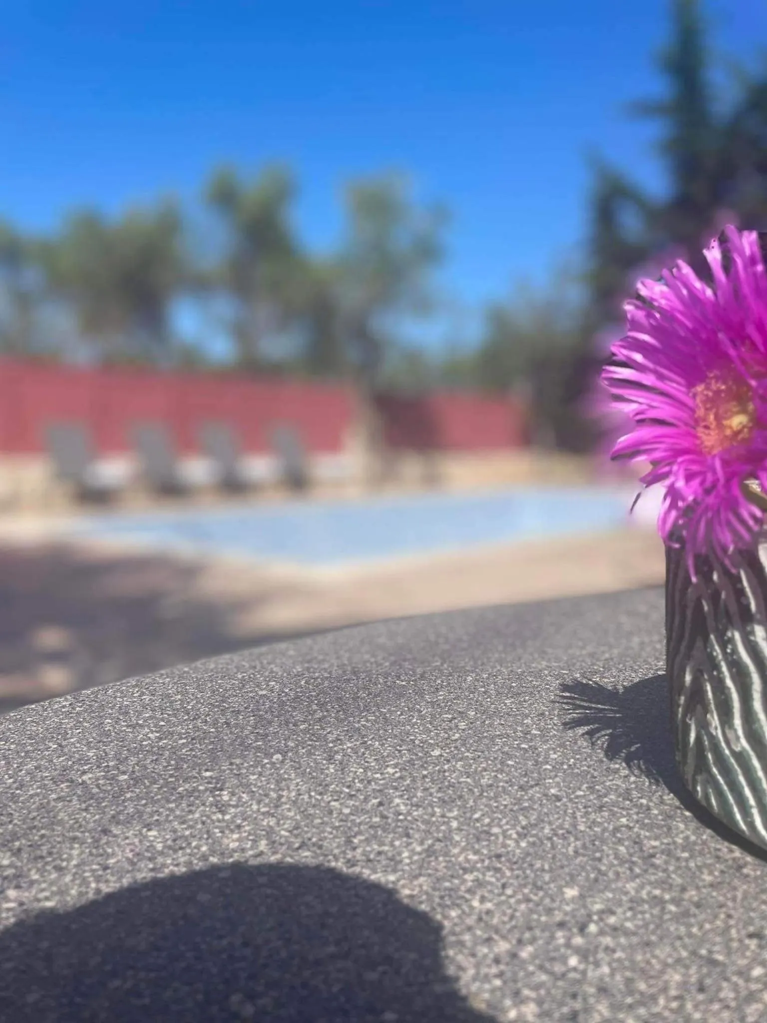 Nissi Collection Rooms