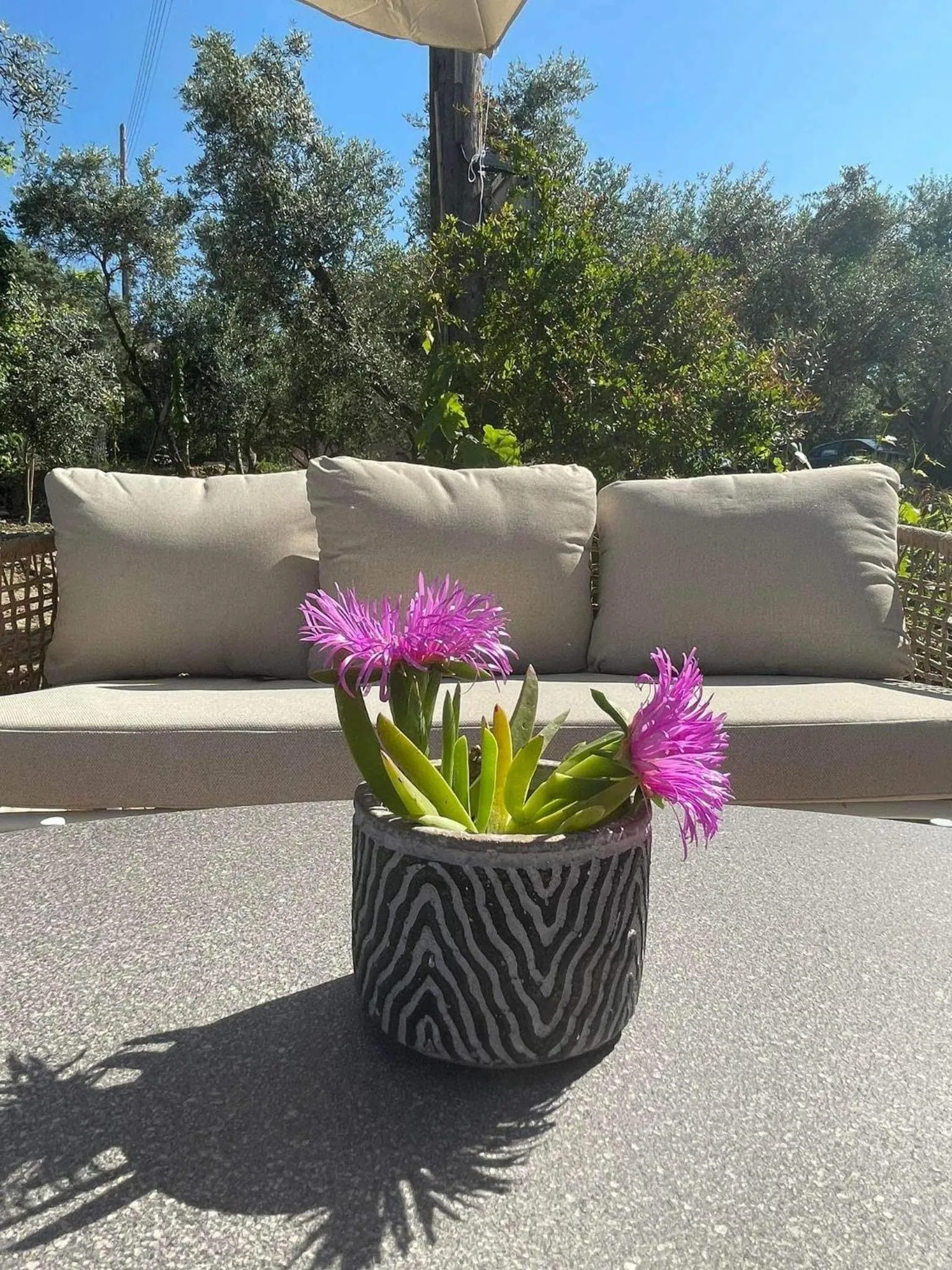 Nissi Collection Rooms