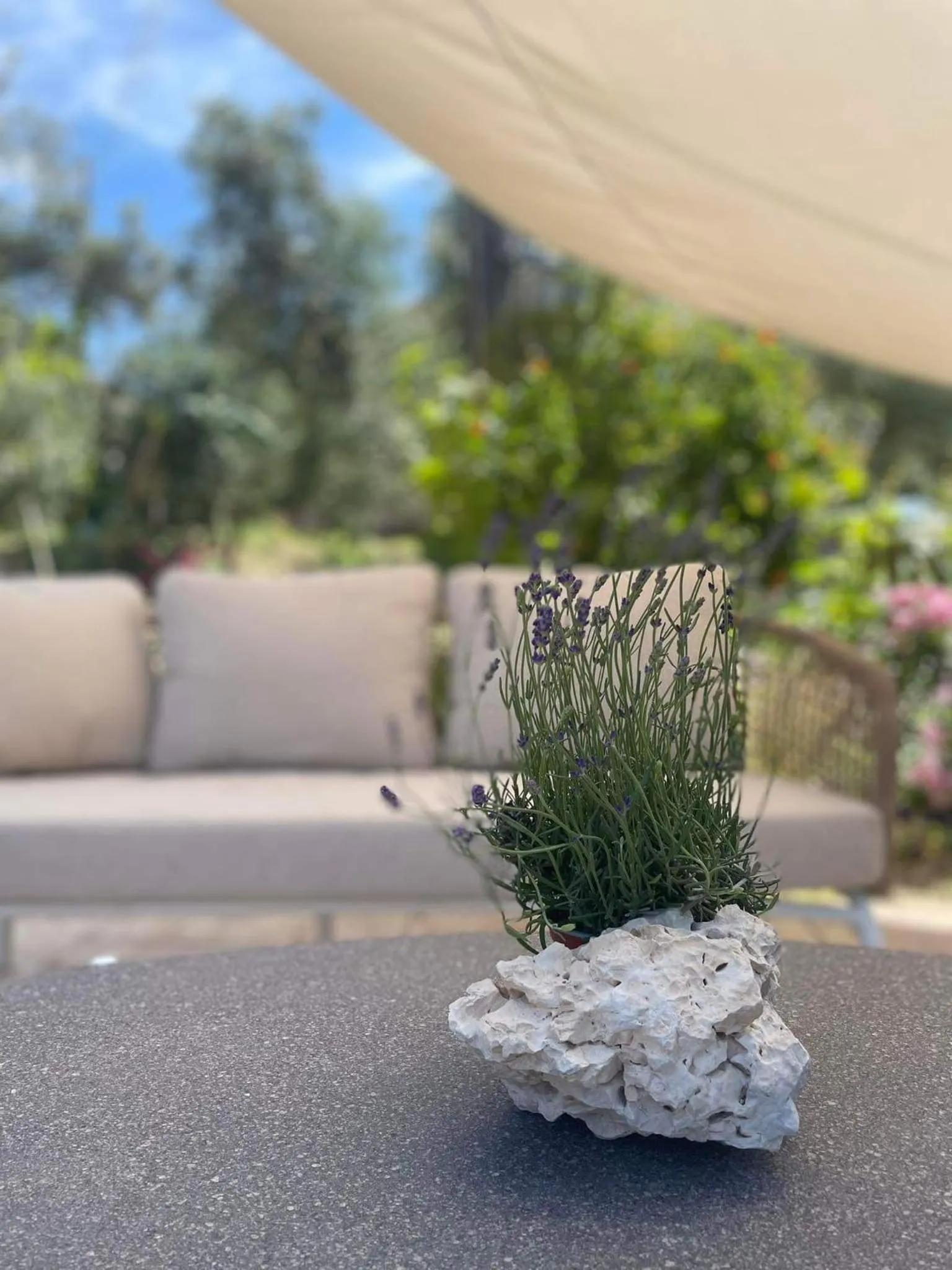 Nissi Collection Rooms