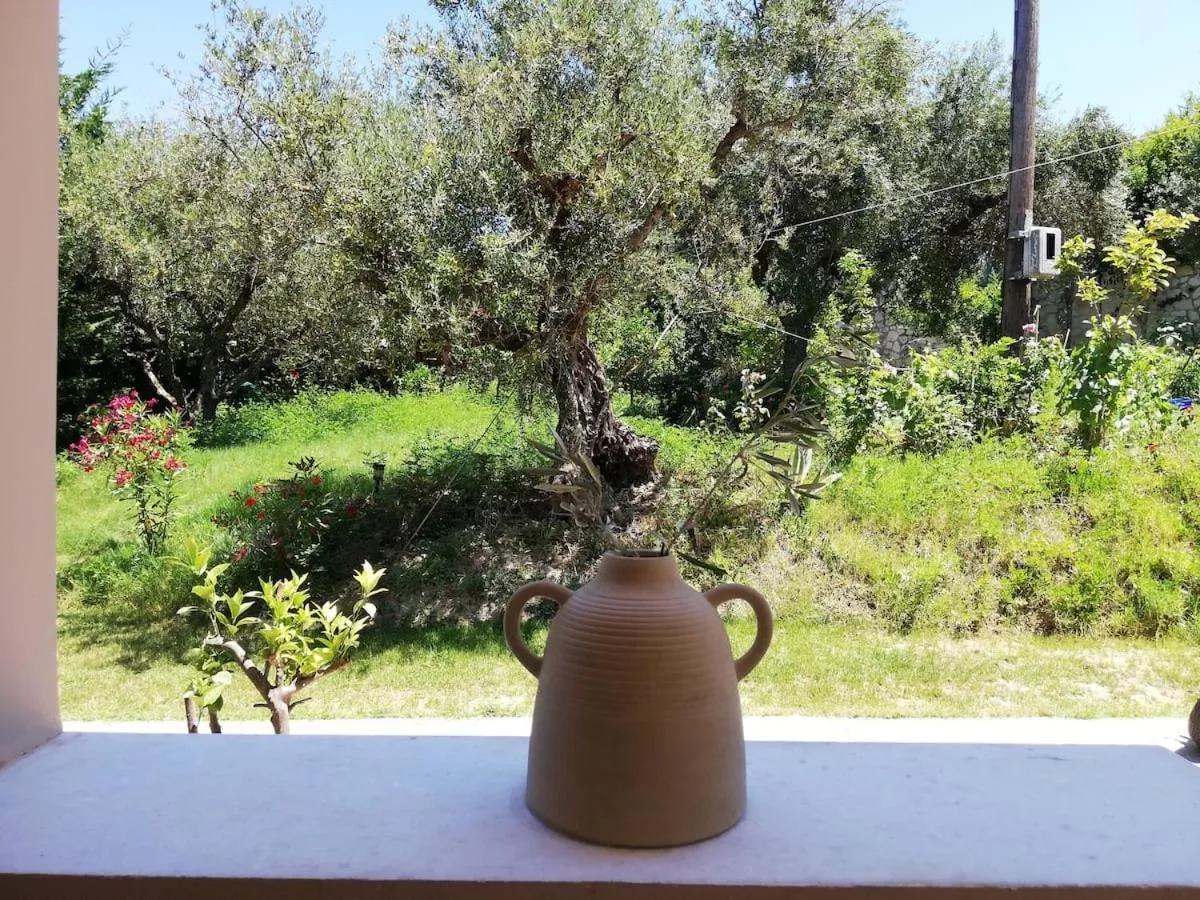 Nissi Collection Rooms