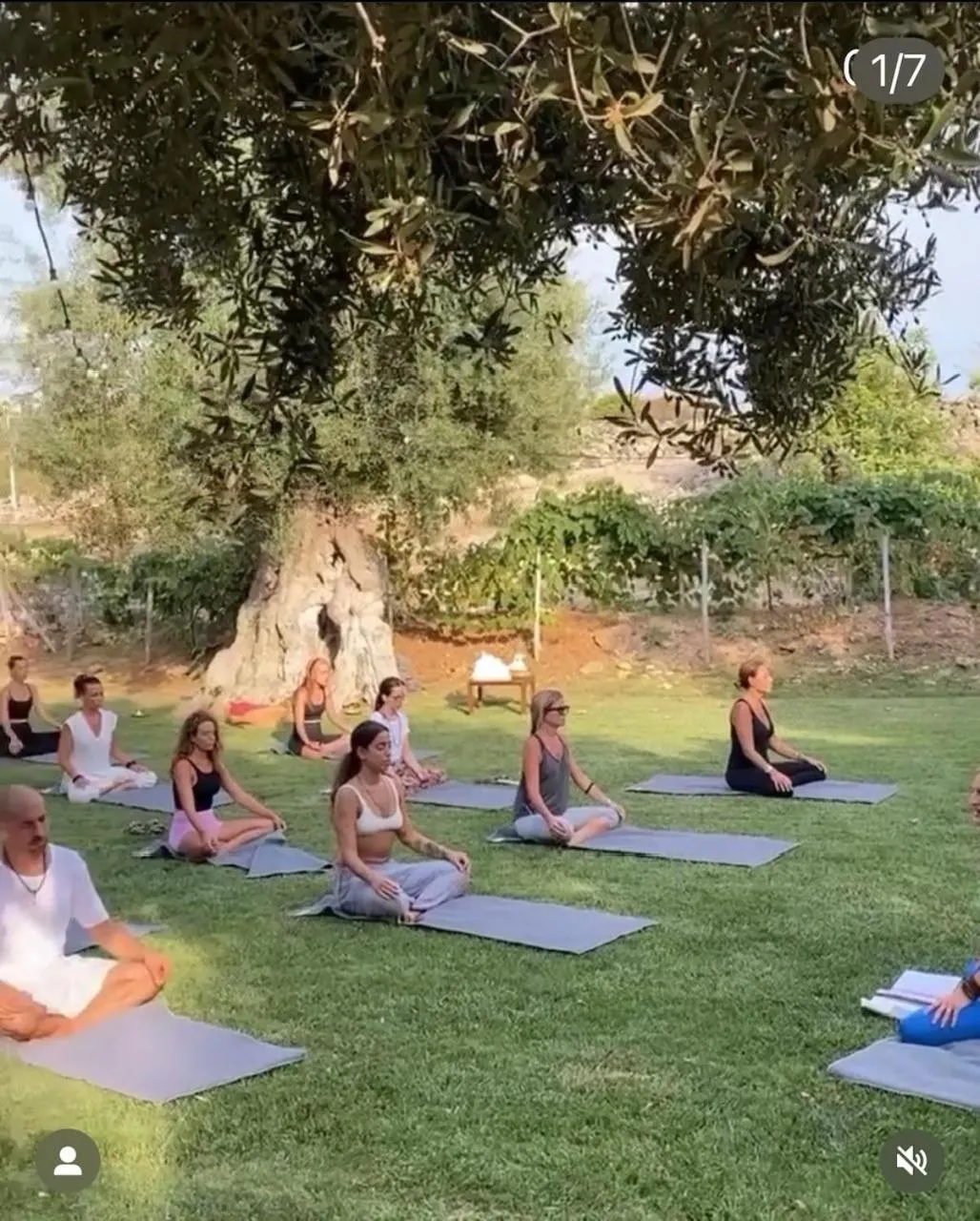 Activities in Hotel Del Levante