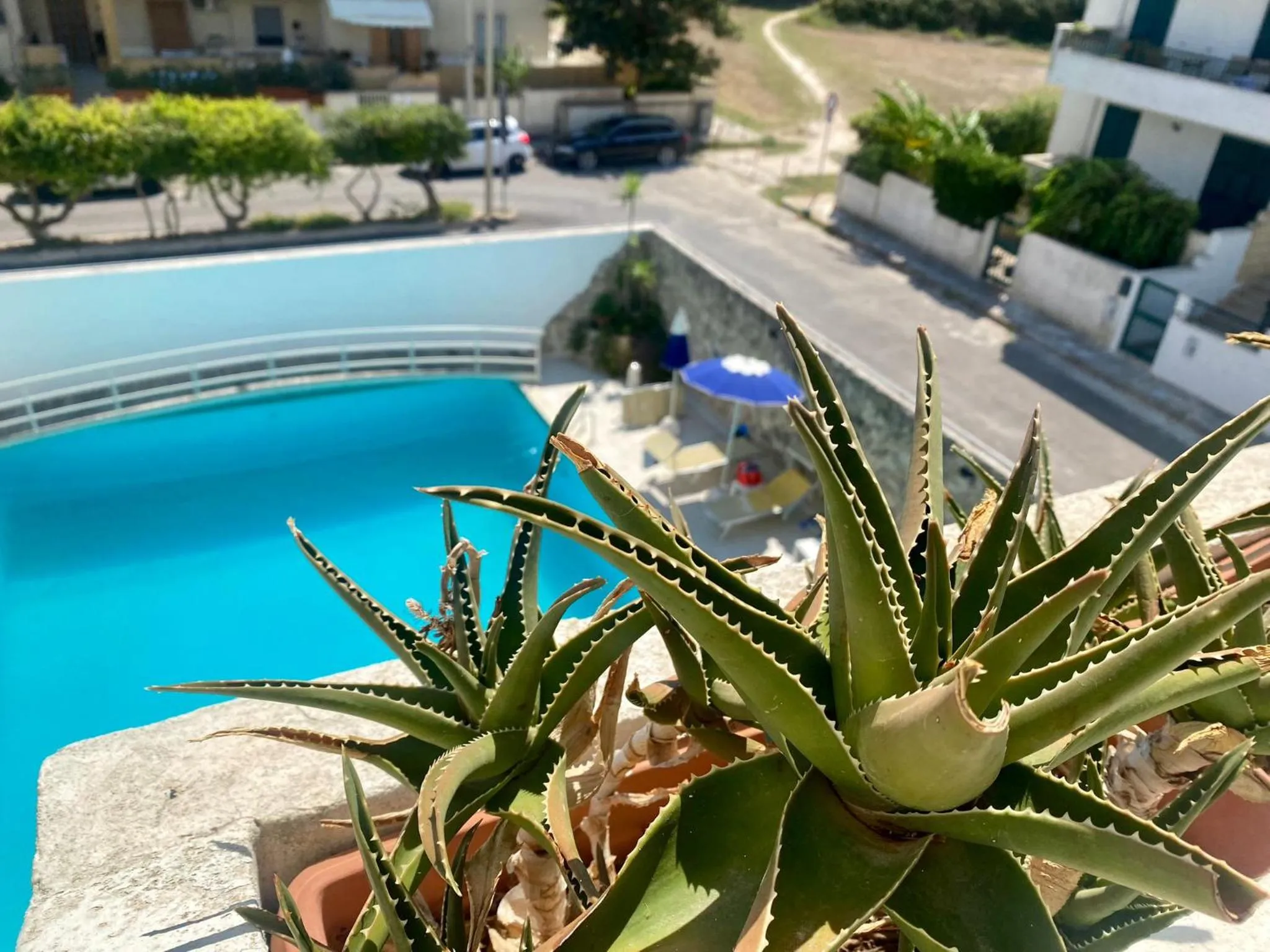 Pool view in Hotel Degli Haethey