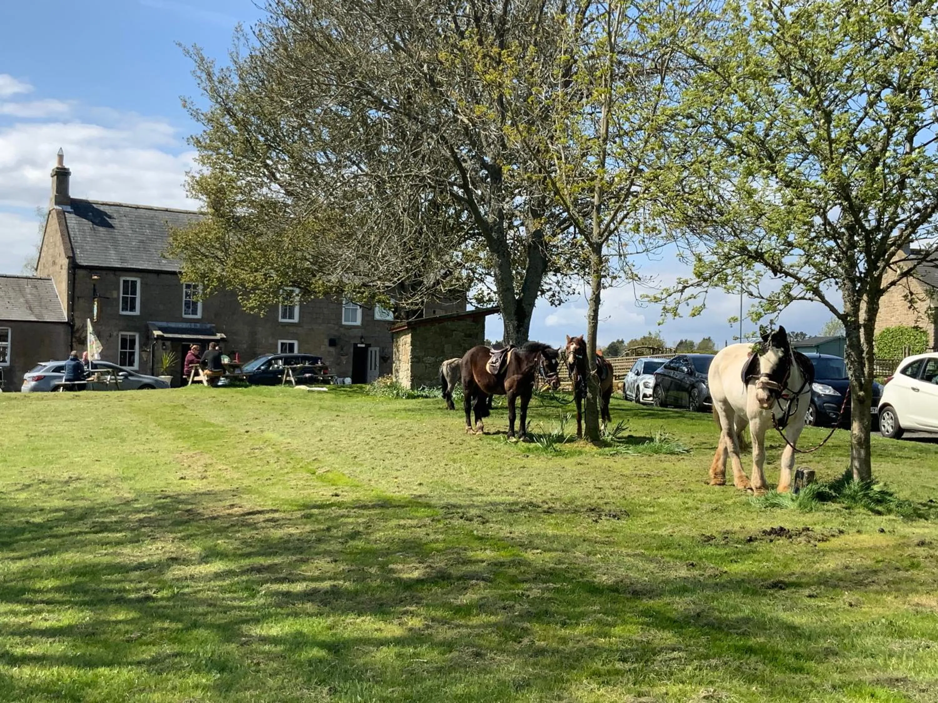 Property building in Bird In Bush Elsdon