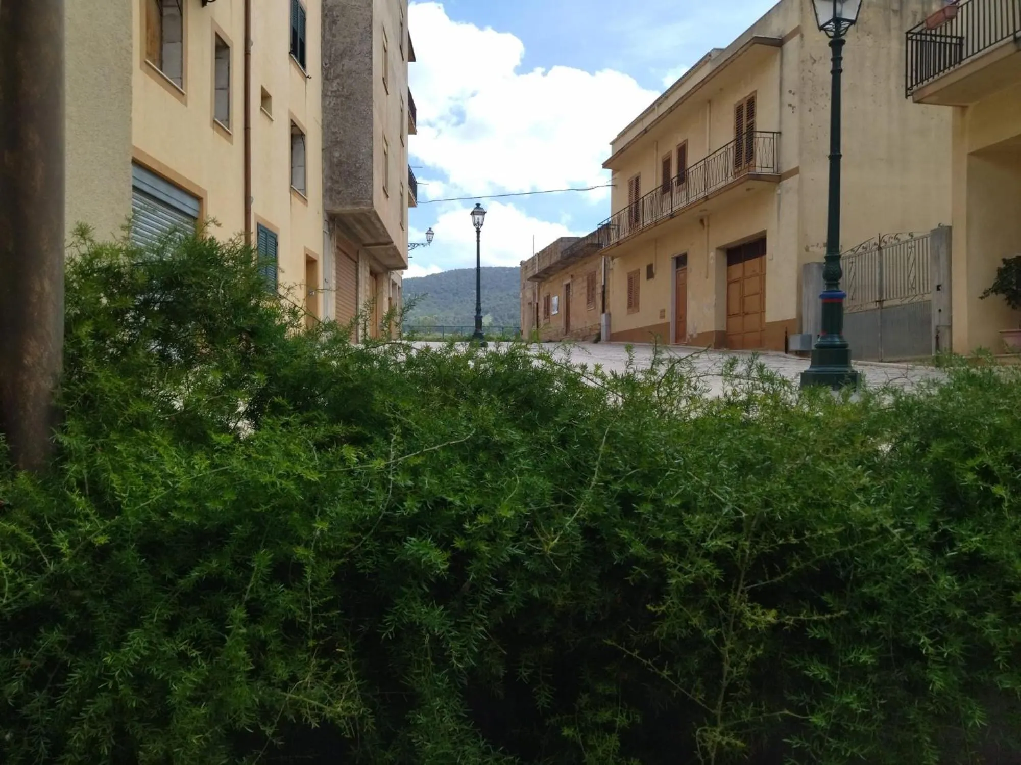 Neighbourhood in mamarita