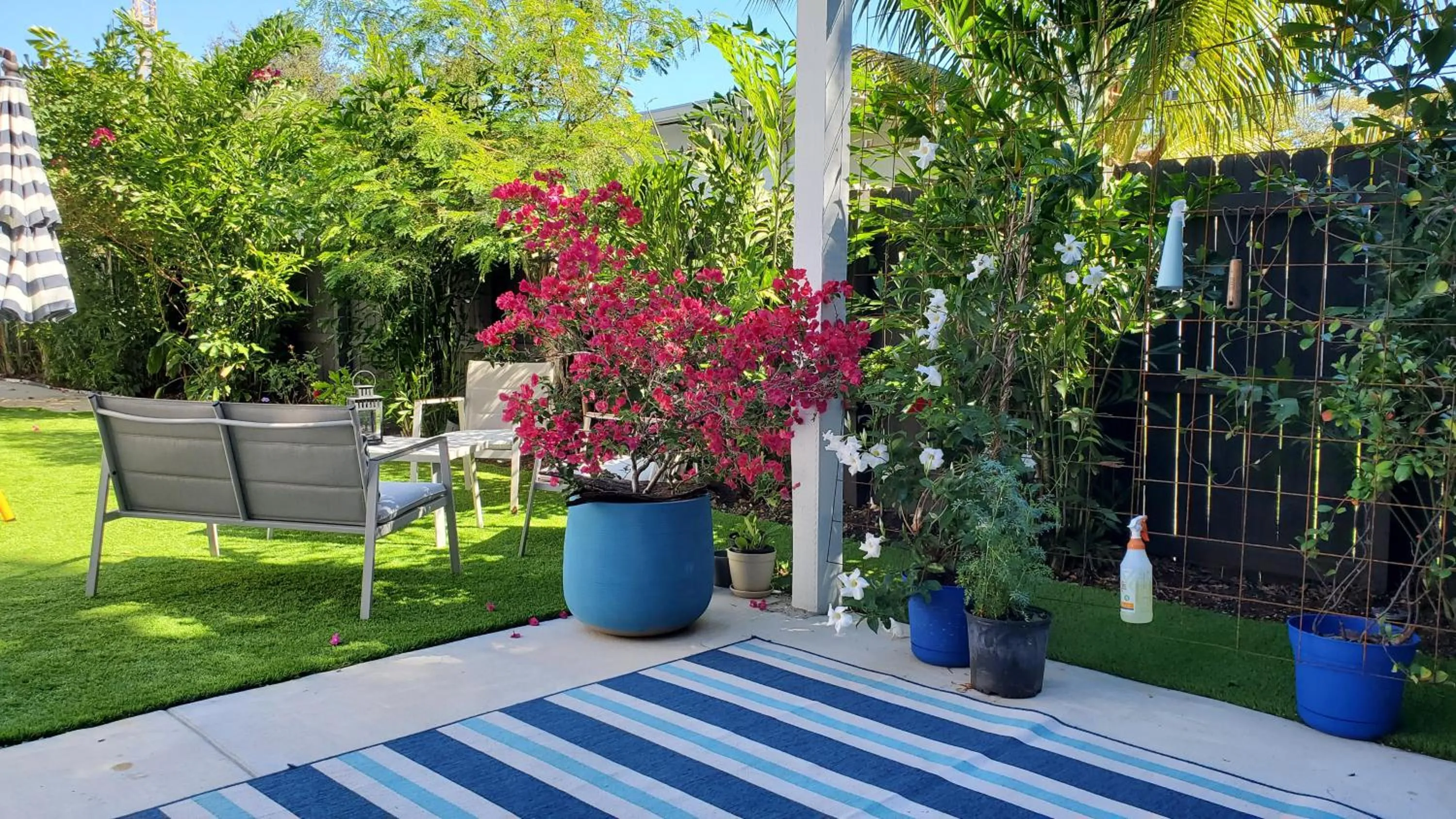 Property building in Casa Cuba in Little Havana, Brickell, Calle 8 and 10 minutes to the Beach FREE PARKING